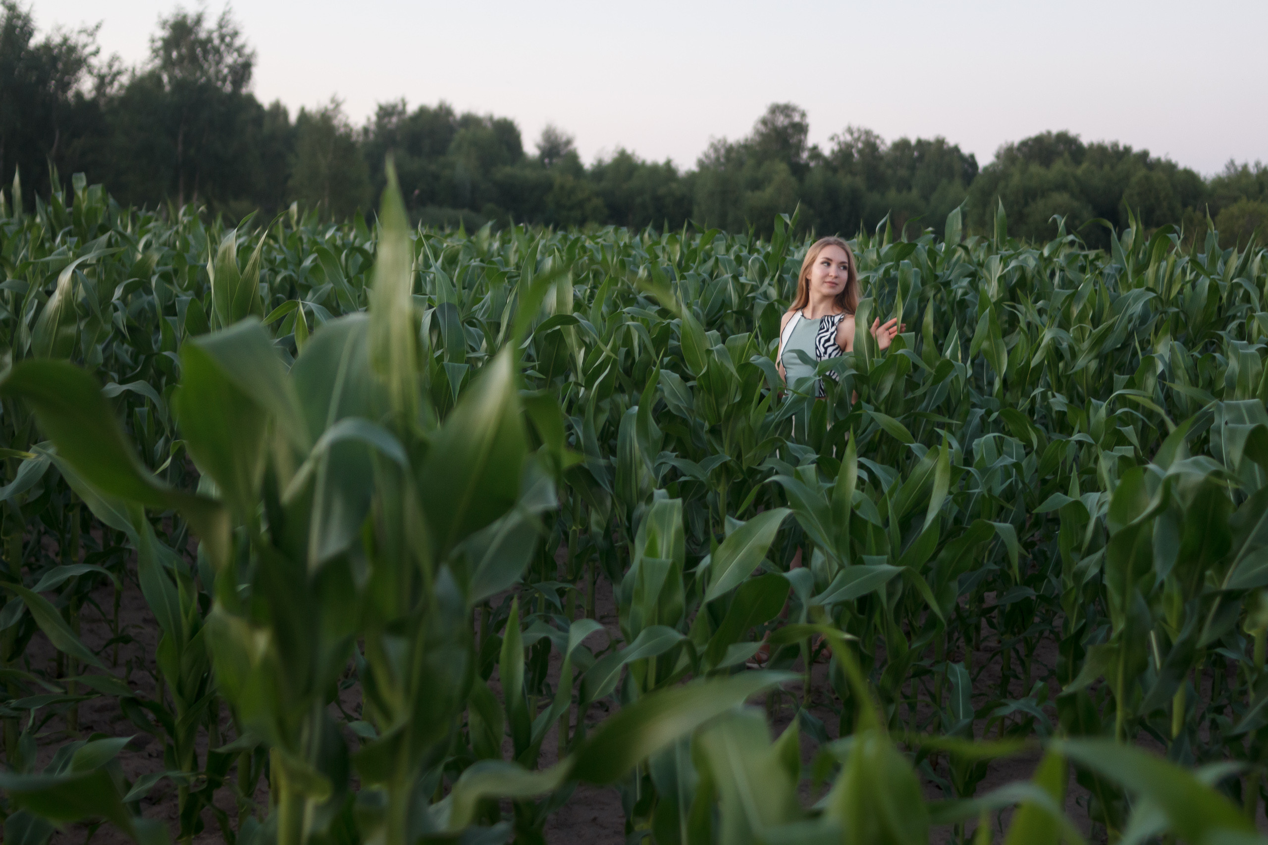 Marina is on the field. Wedding and portrait photographer in Beograd Ekaterina Makedonskaya