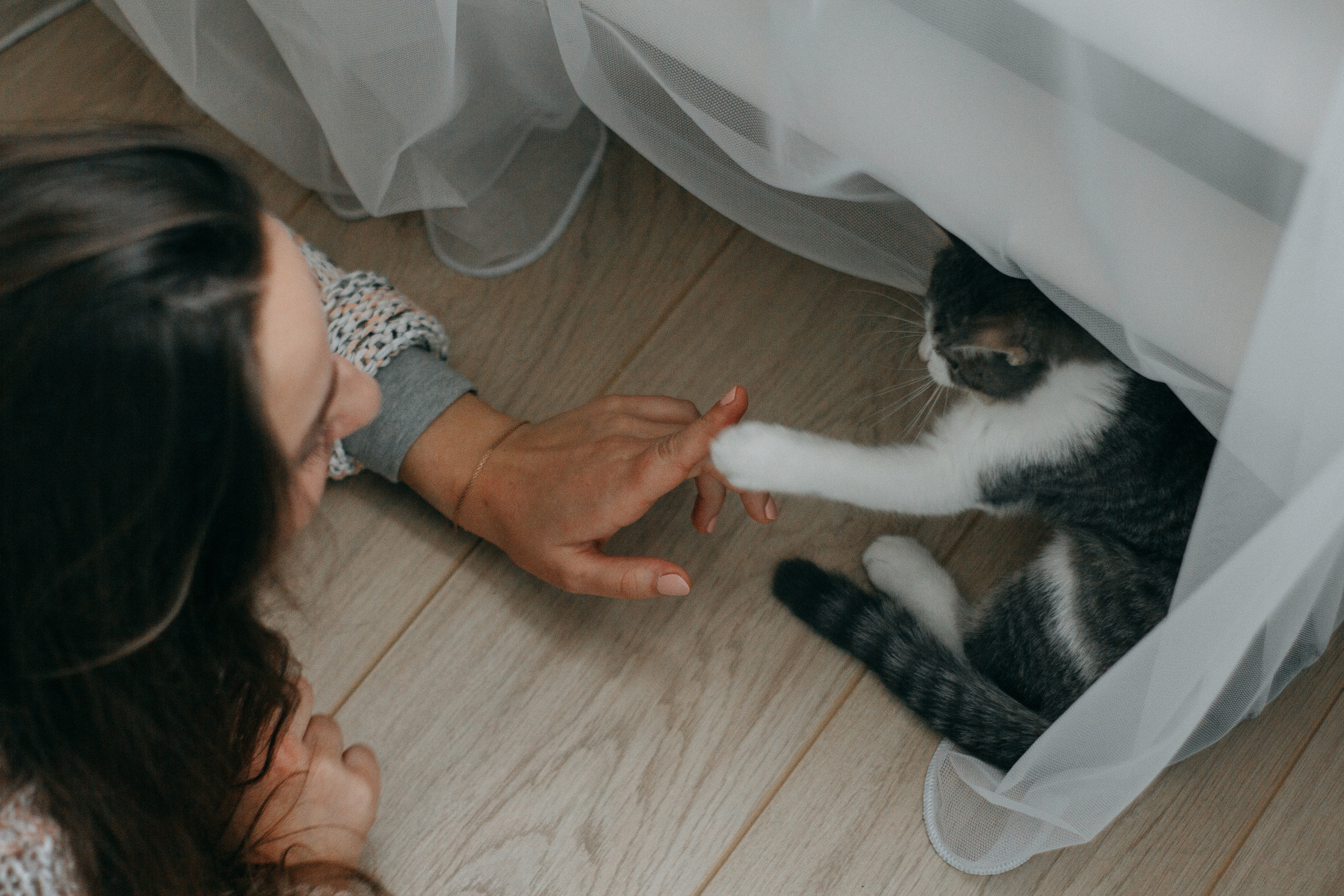 Anya and Cat. Wedding and portrait photographer in Beograd Ekaterina Makedonskaya