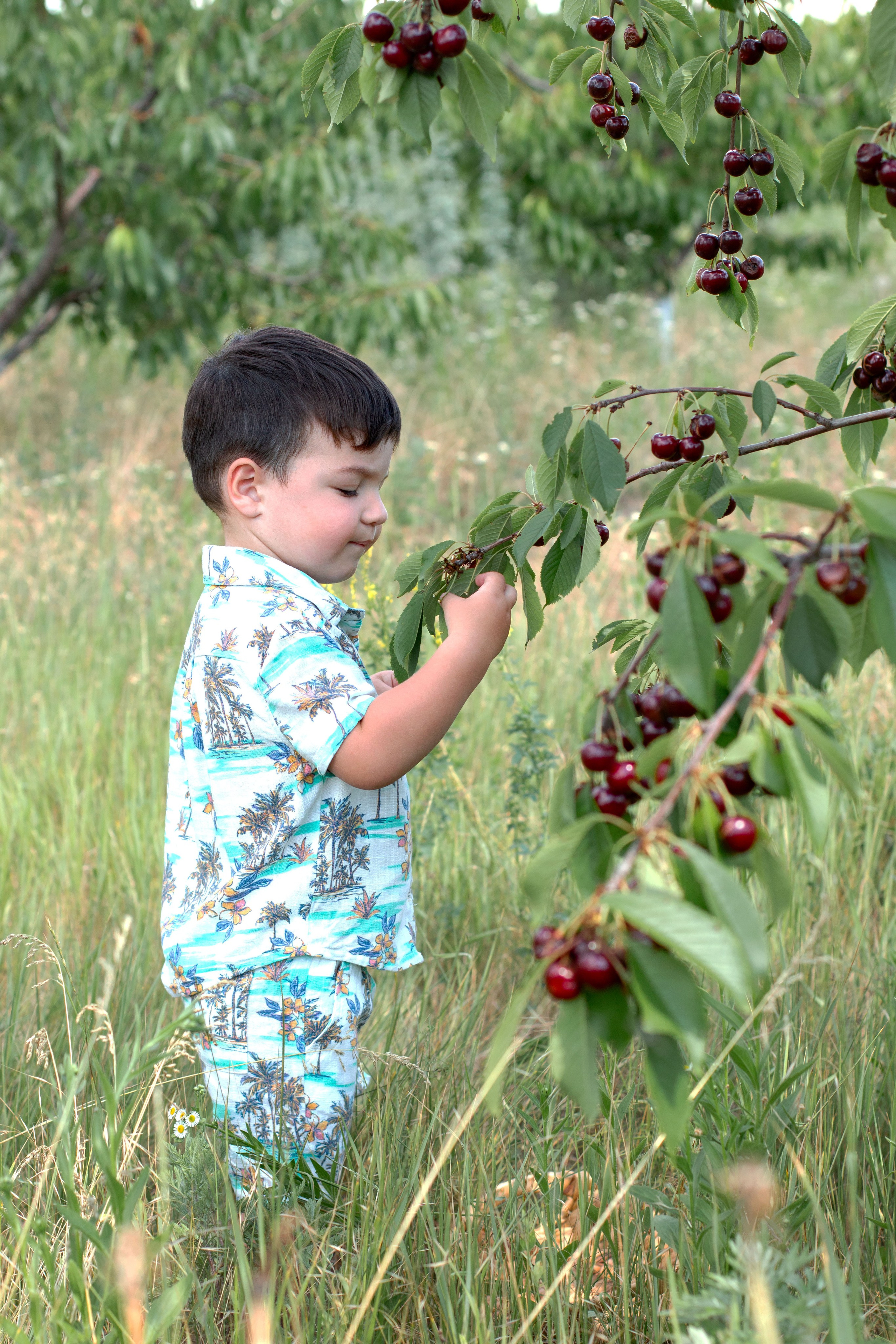 Черешня. Детский и семейный фотограф в г. Бельцы