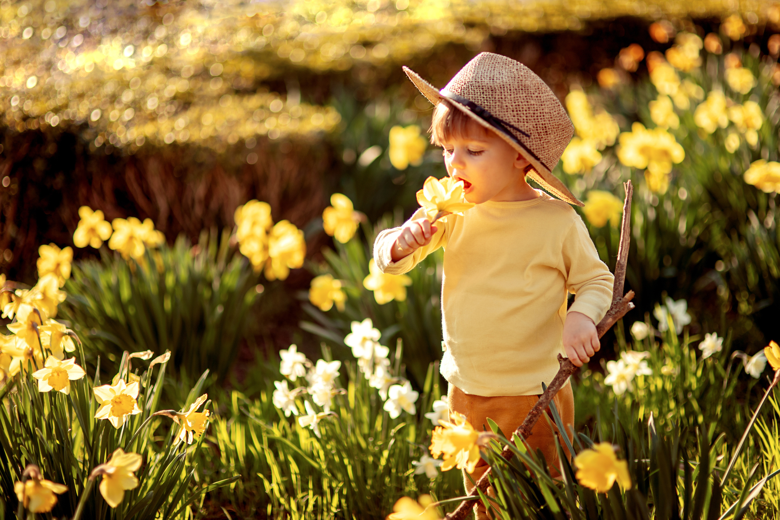 Fine Art photographer in Luxembourg Anastasia Arend