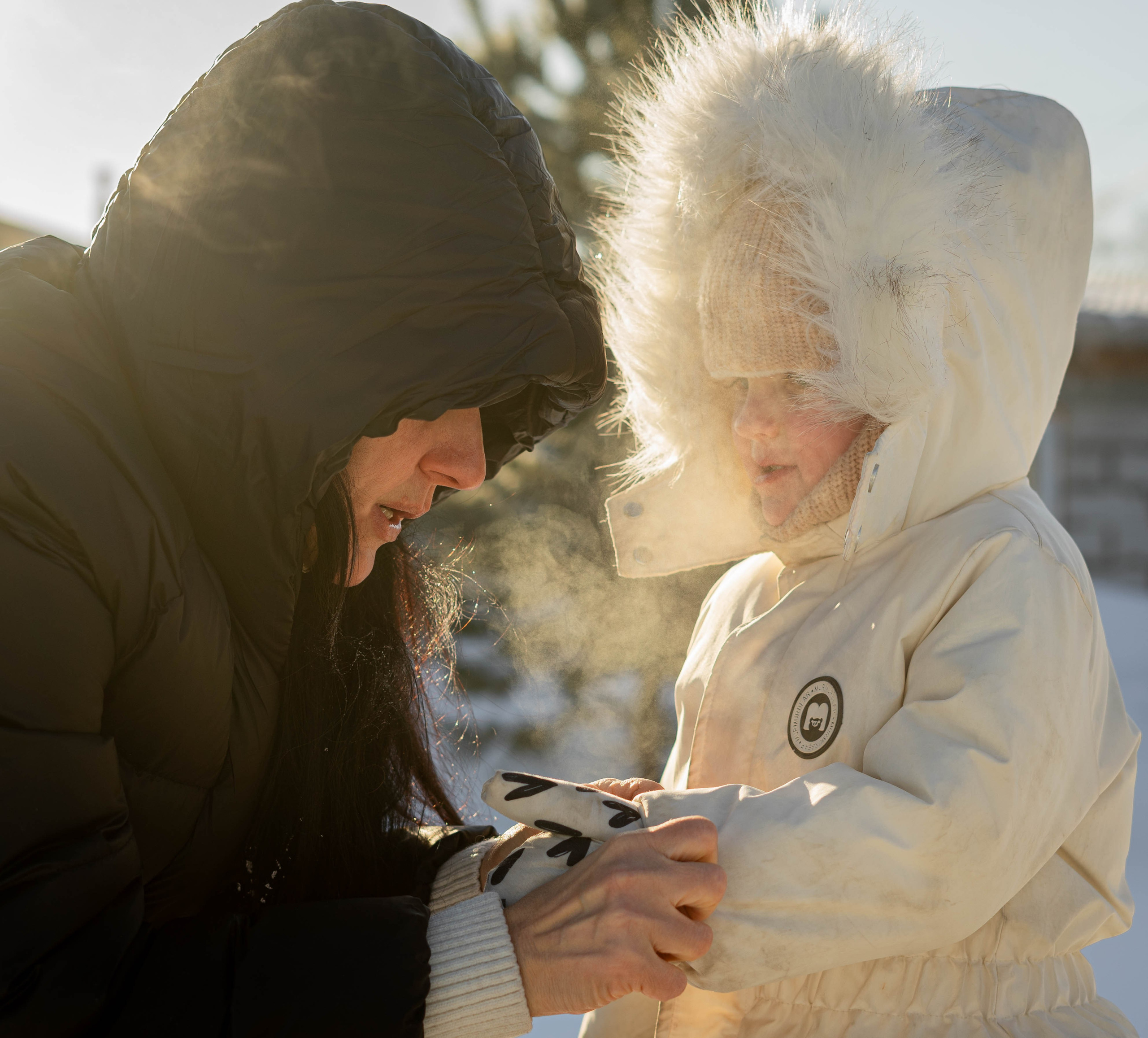 Portfolio. Daria Moment