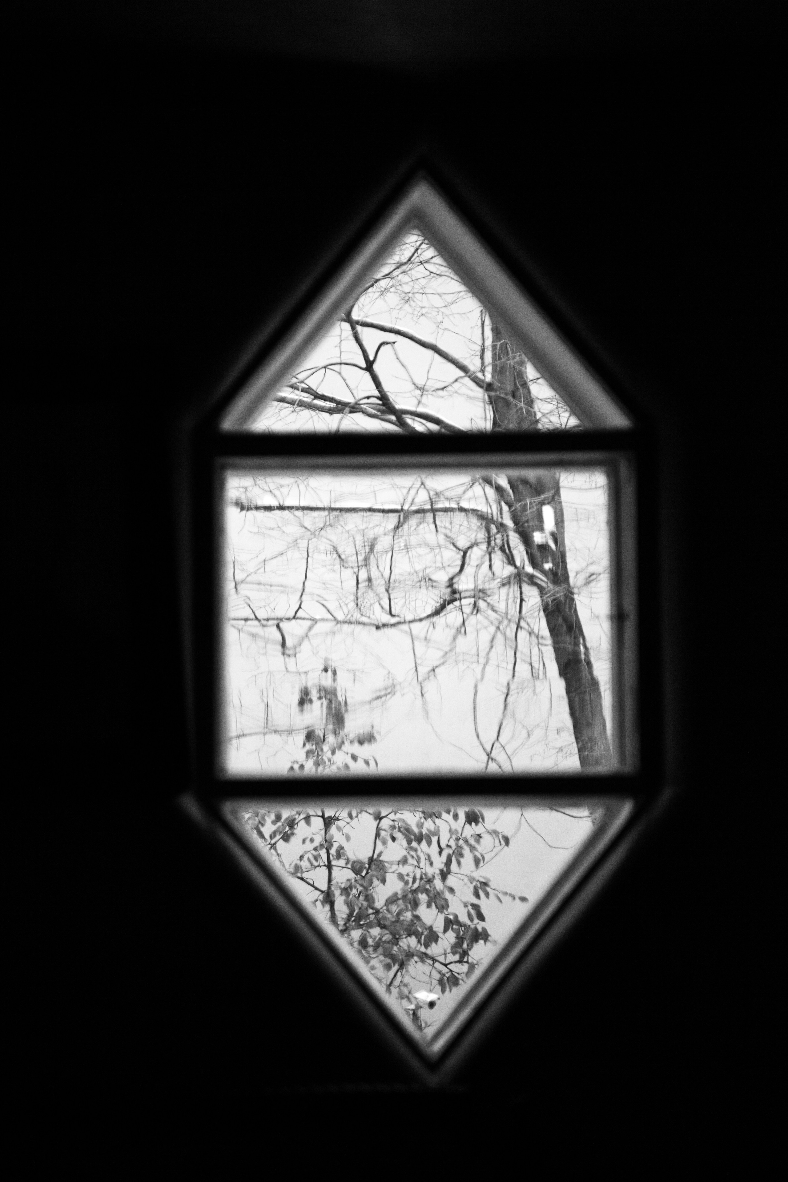 Дом Мельникова в Москве. Фотограф в Германии — Мария Чистякова