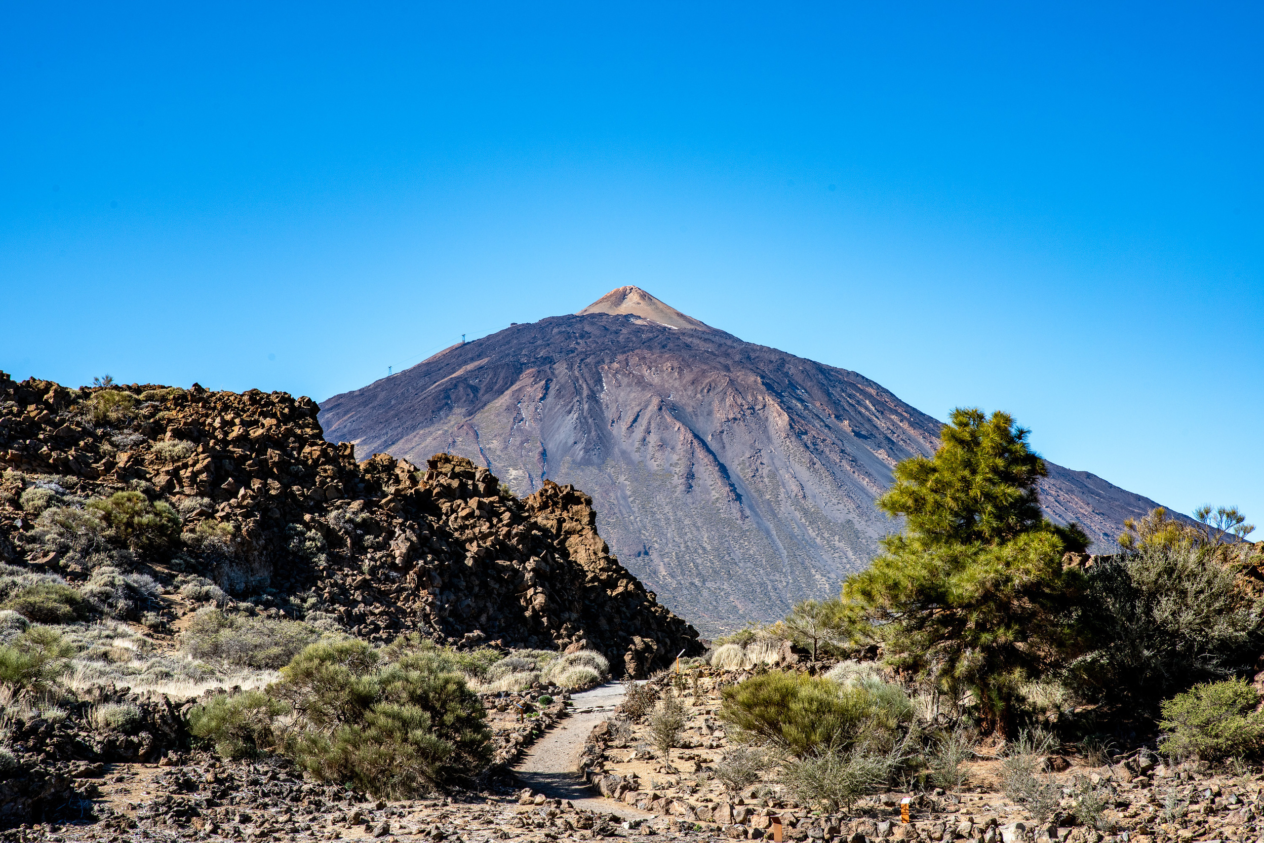 Tenerife. Bojana Žuža fotograf u Beogradu 📷 Belgrade photographer