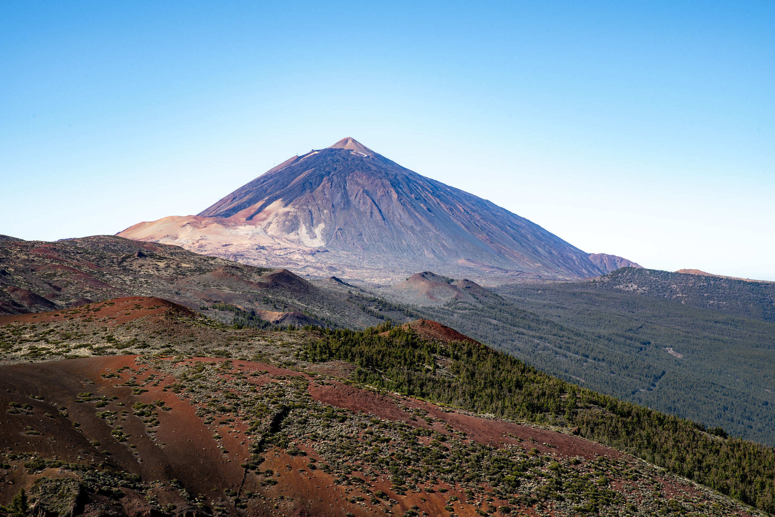 Tenerife. Bojana Žuža fotograf u Beogradu 📷 Belgrade photographer