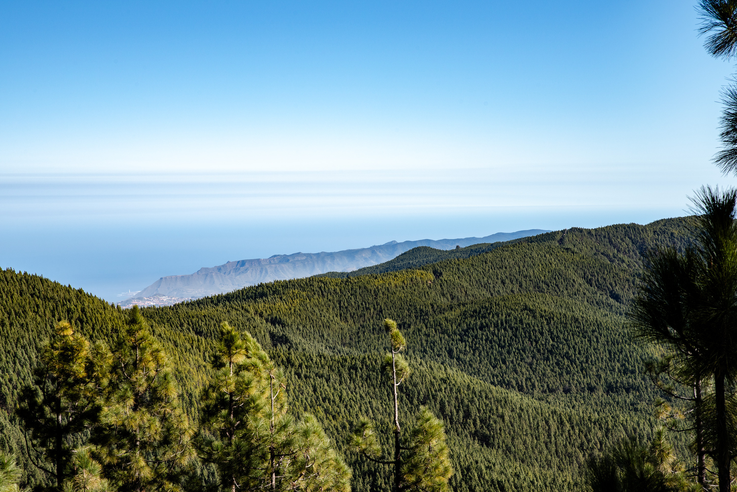 Tenerife. Bojana Žuža fotograf u Beogradu 📷 Belgrade photographer