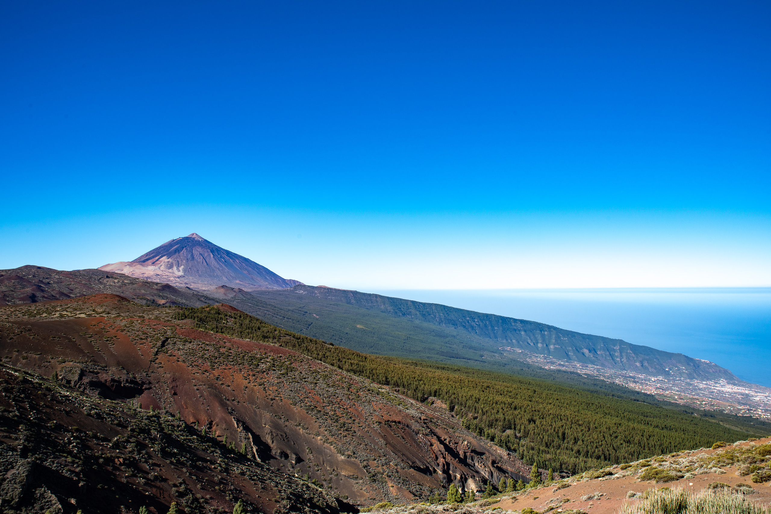 Tenerife. Bojana Žuža fotograf u Beogradu 📷 Belgrade photographer