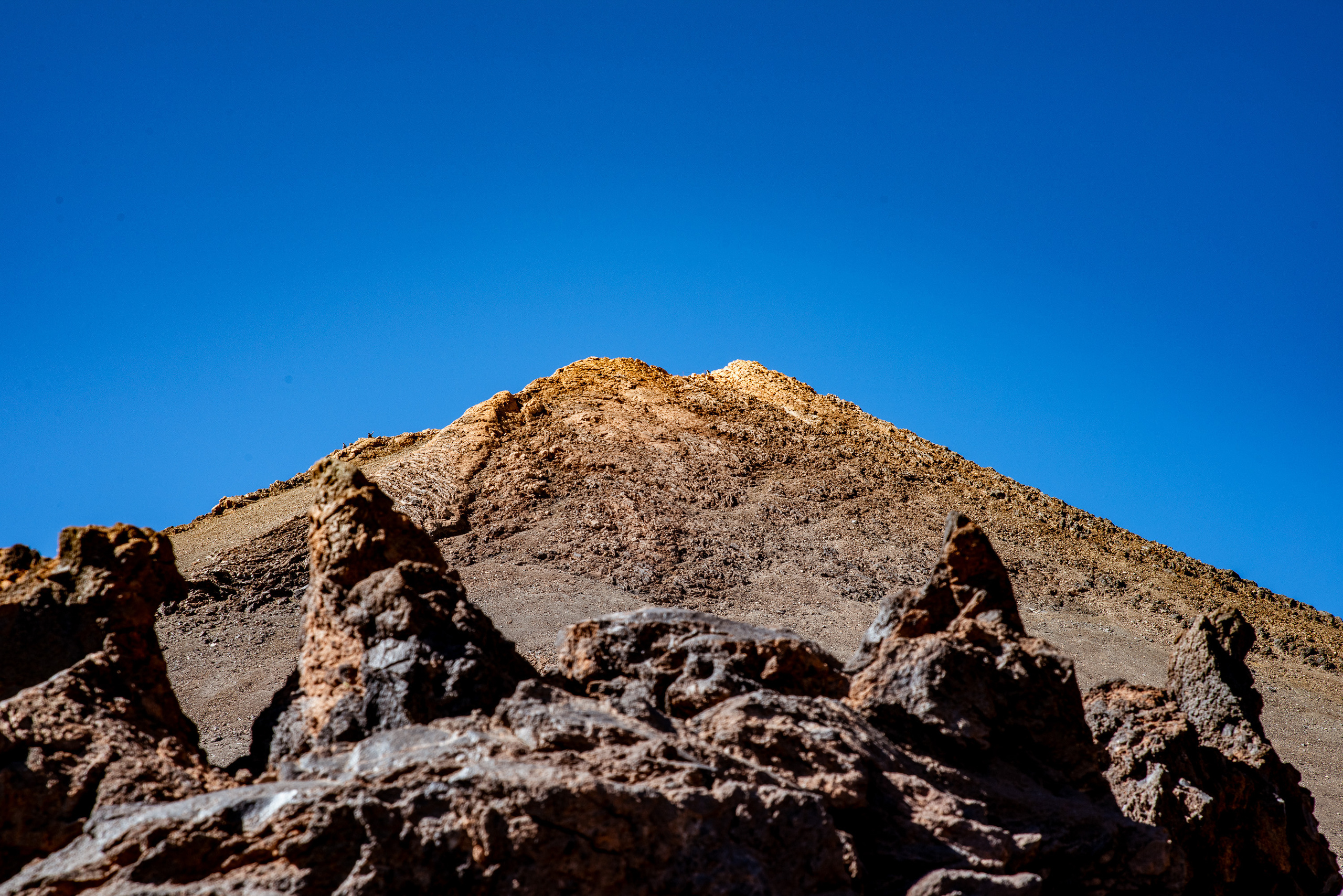 Tenerife. Bojana Žuža fotograf u Beogradu 📷 Belgrade photographer