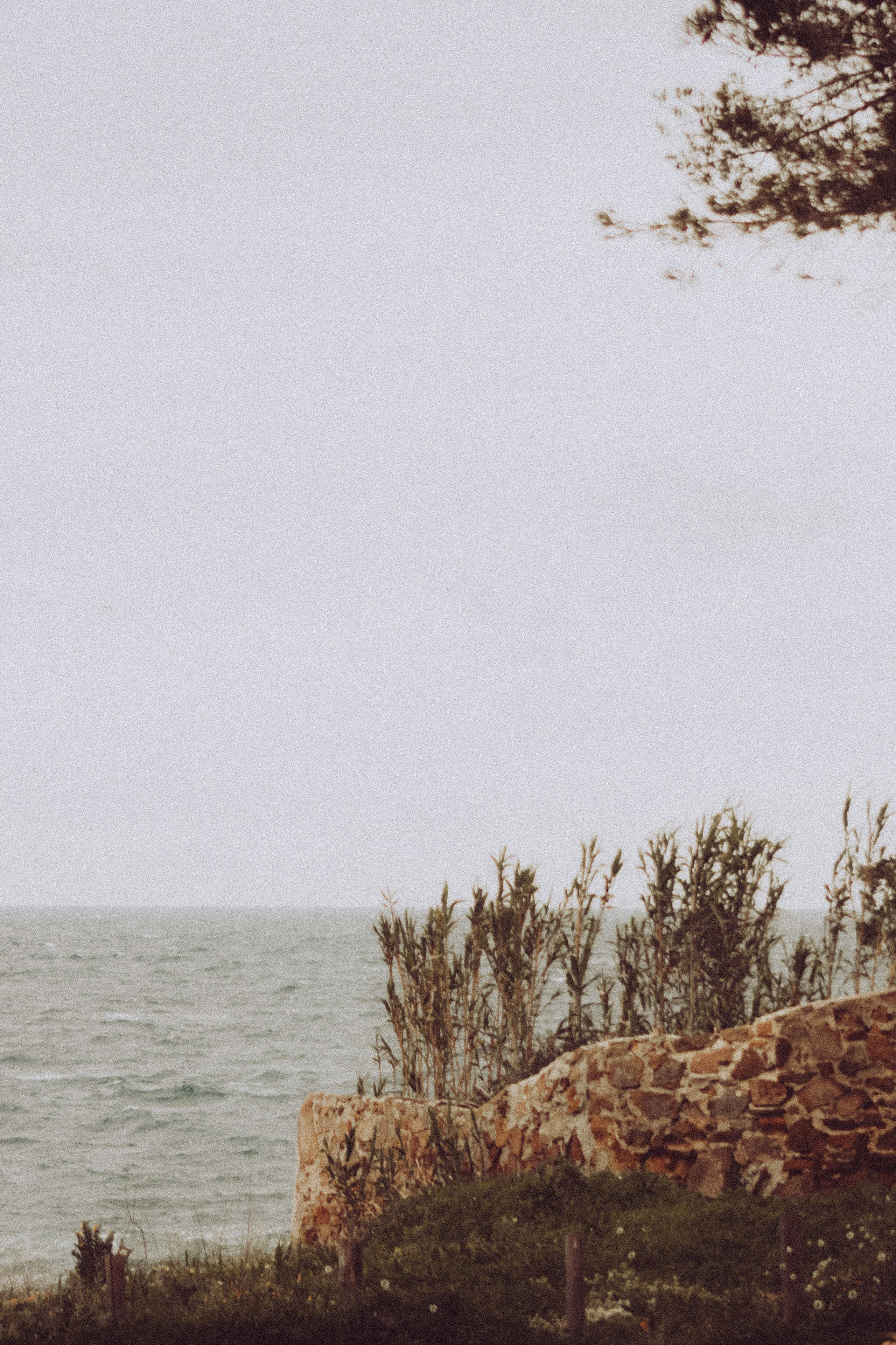 La Coudoulière, Saint Mandrier. Photographe à la Seyne sur Mer, Var