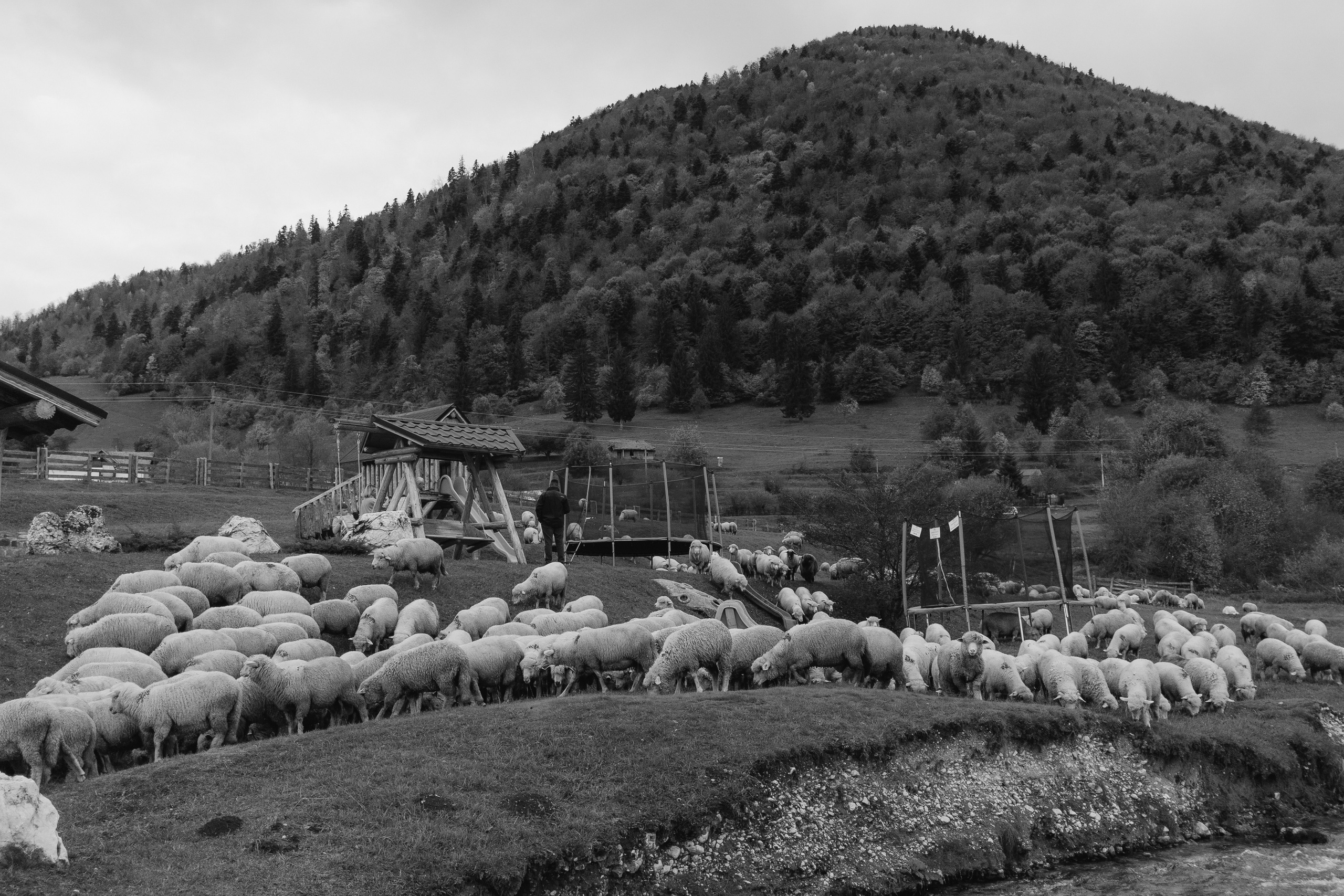 Razvan. Fotograf si videograf — evenimente si studio