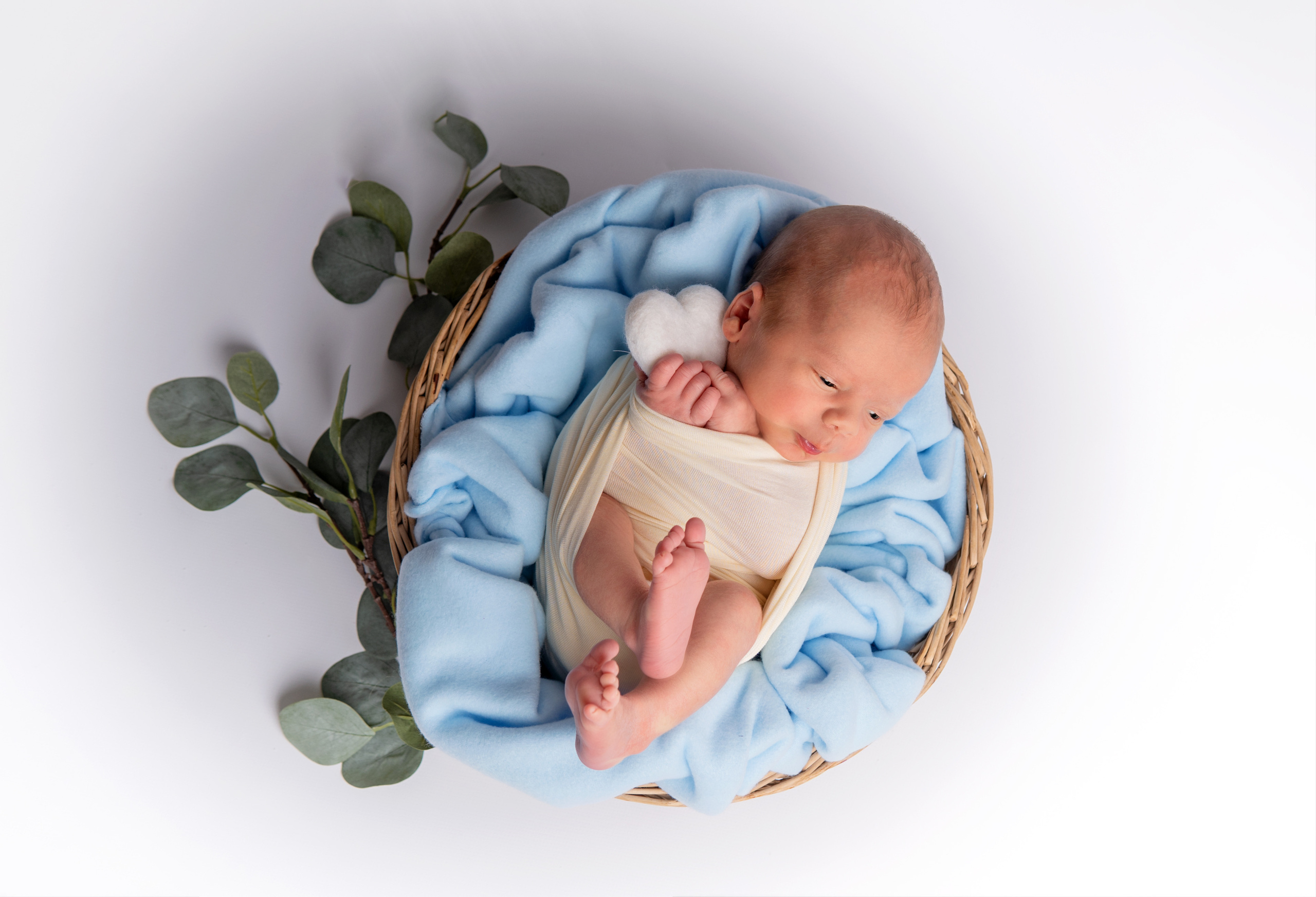 Newborn. Mylittlenewbornphotography