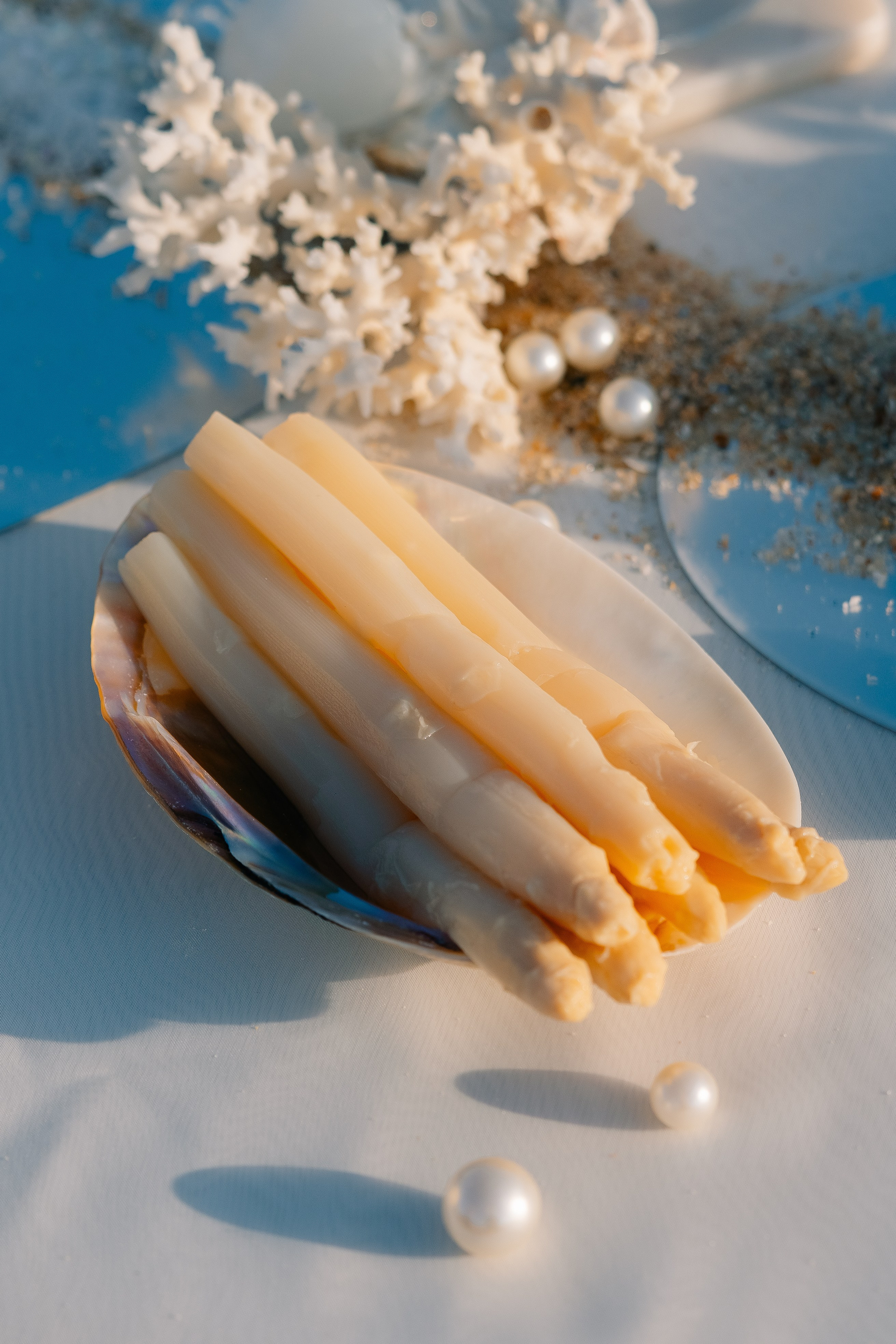 Ocean wedding. Maria Sher. Fotógrafa profissional do Porto, Portugal