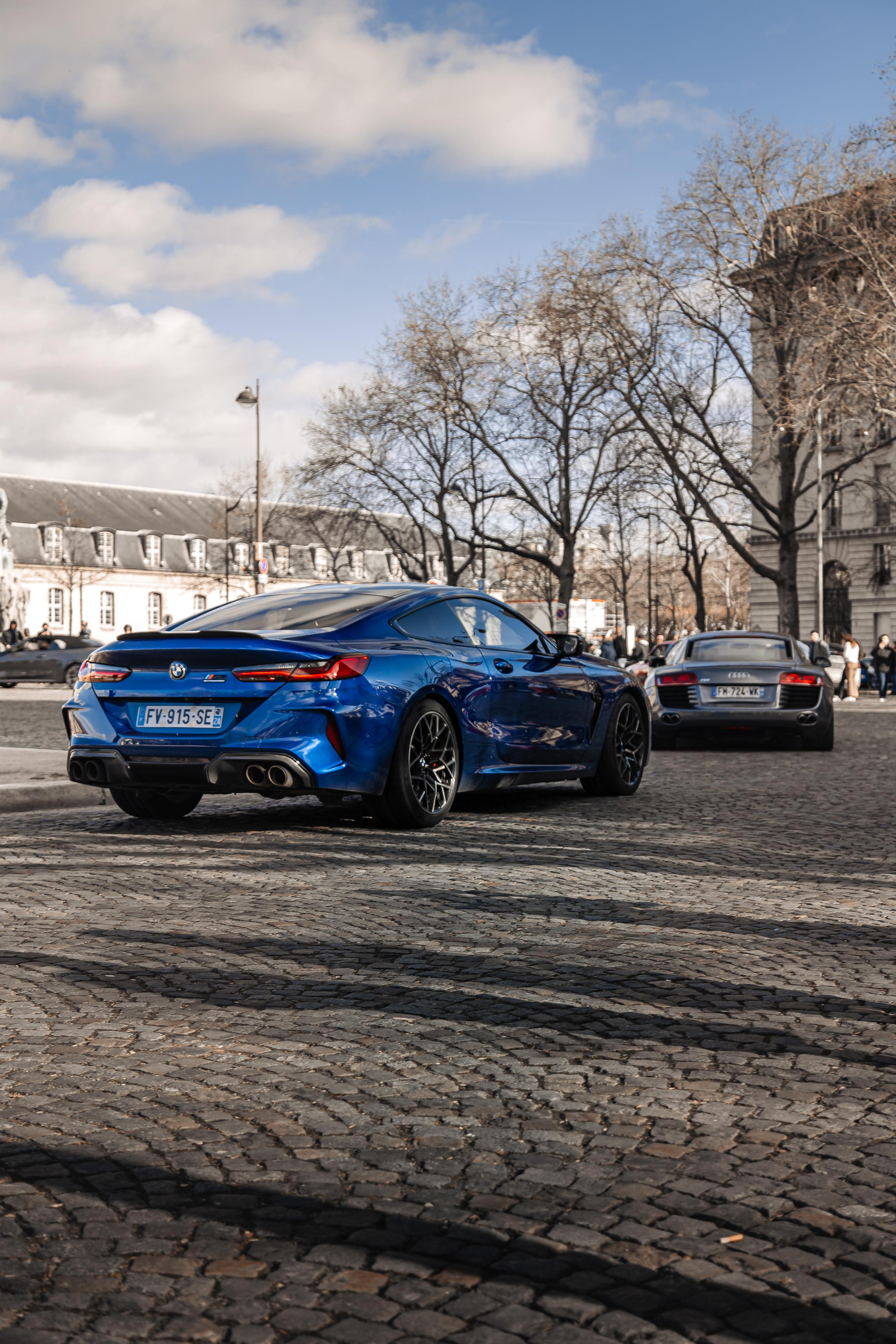 Place Vauban 30 janvier. Photographer in Paris — Vitalii Motruk