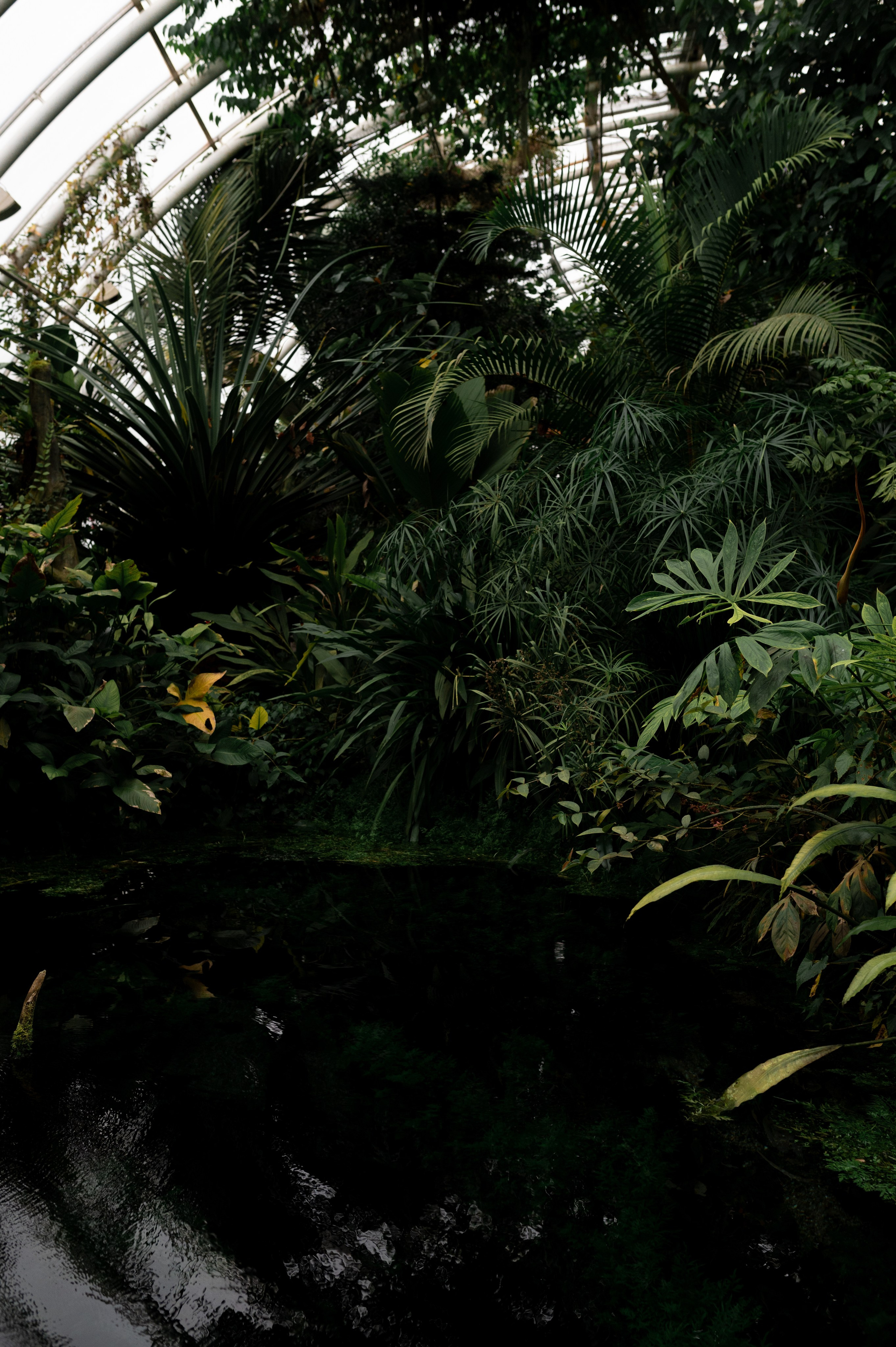 CannaXlife CBD products. ANNA-MARIA PHOTO CONTENT CREATOR — фотограф, естет, художник і візуальний експерт Instagram у Празі