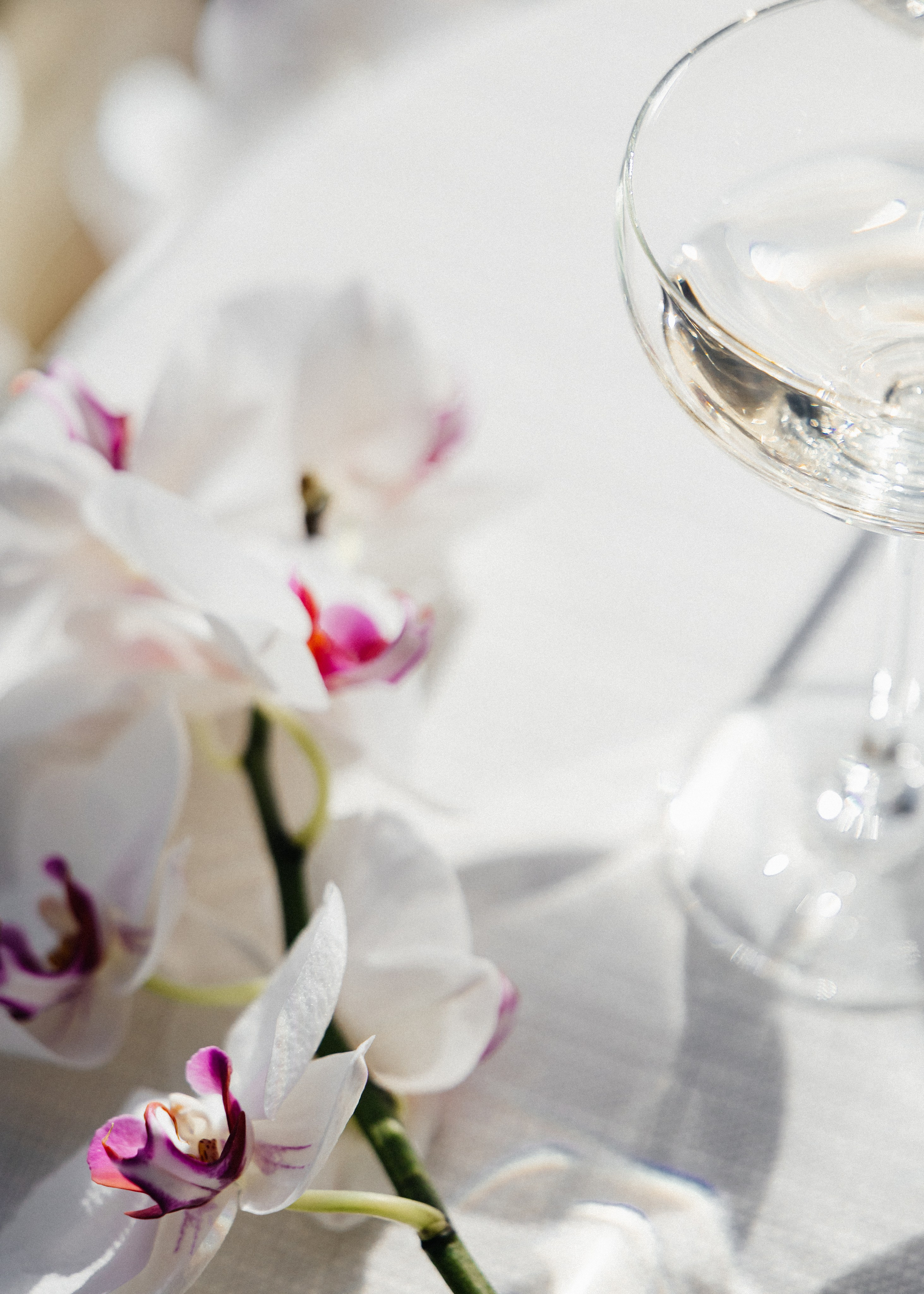 Historic Arley Hall editorial wedding — coming soon........ Timeless Wedding & Event Photography — based London, working across Europe