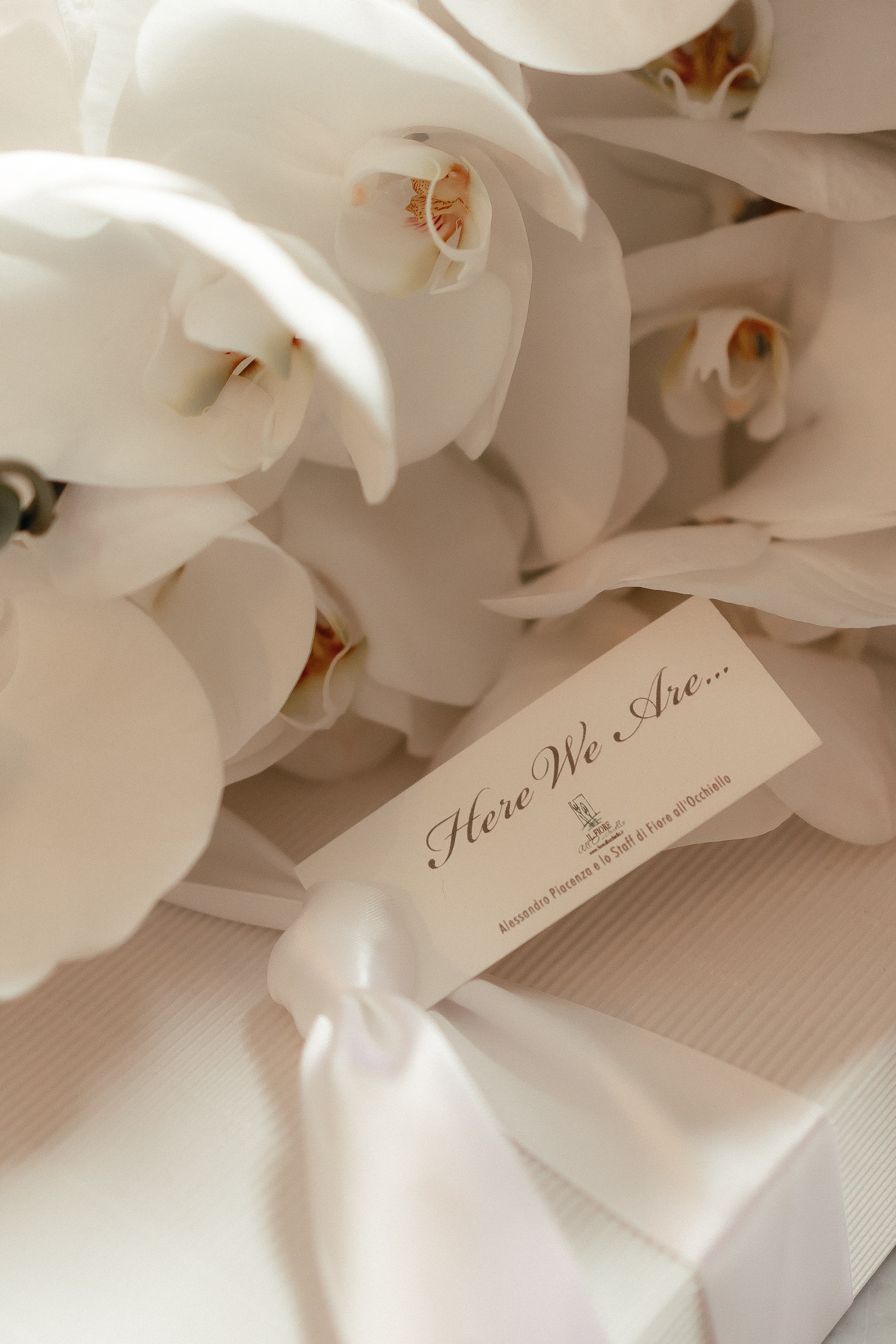 Eden & Nicolas, Villa Rizzardi, Verona. Фотограф в Милане Анна Линник