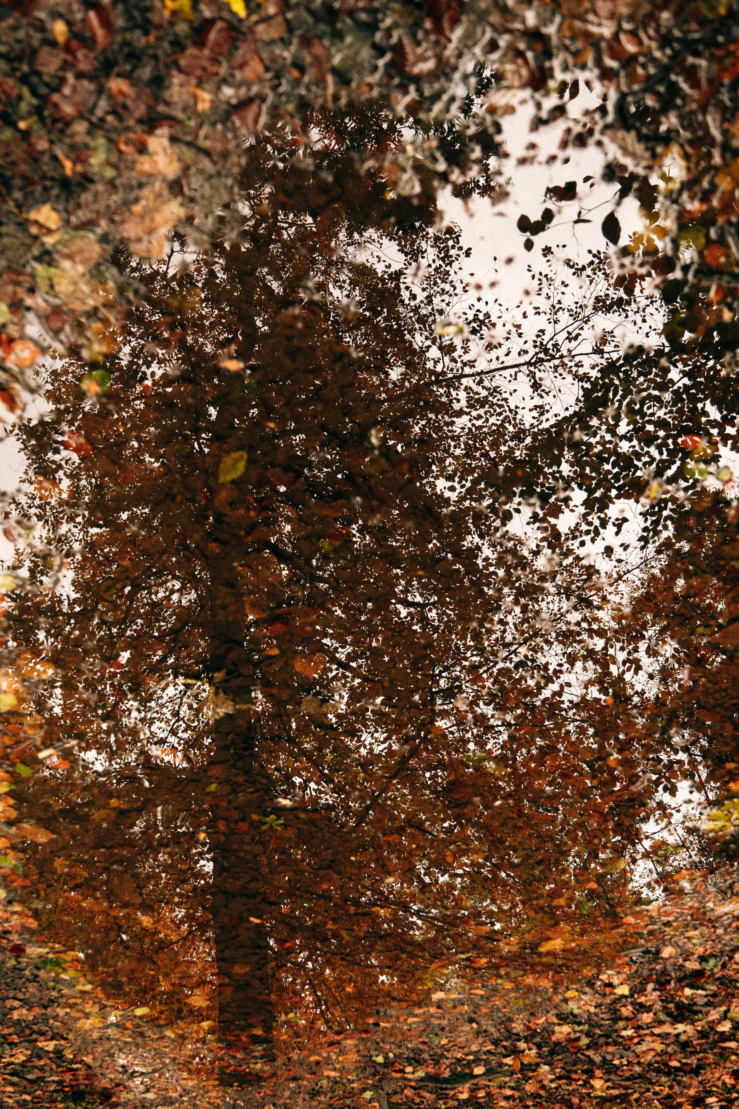 Bolam Lake family photography, Northumberland photographer