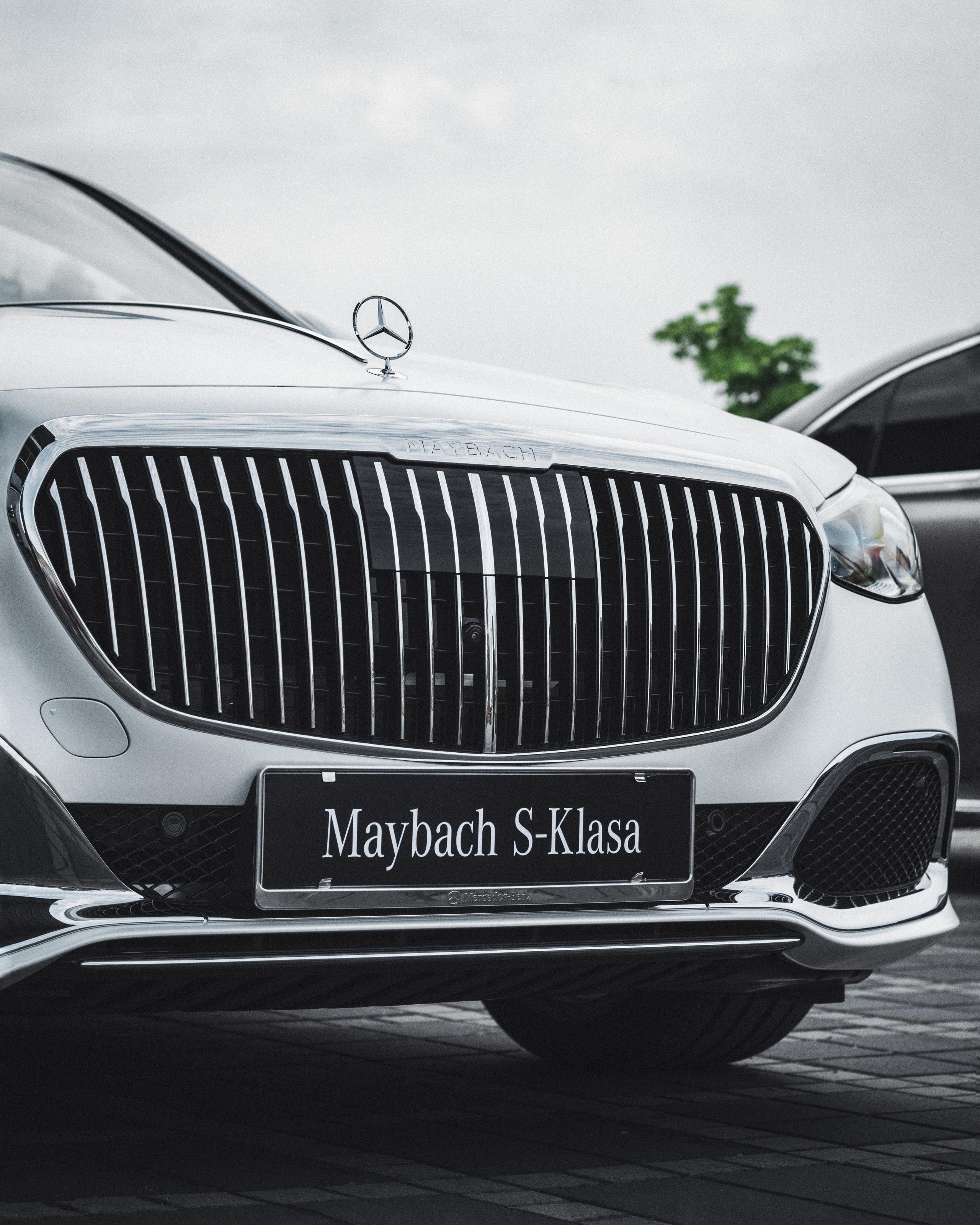 Autosaloni. Жуков Студио