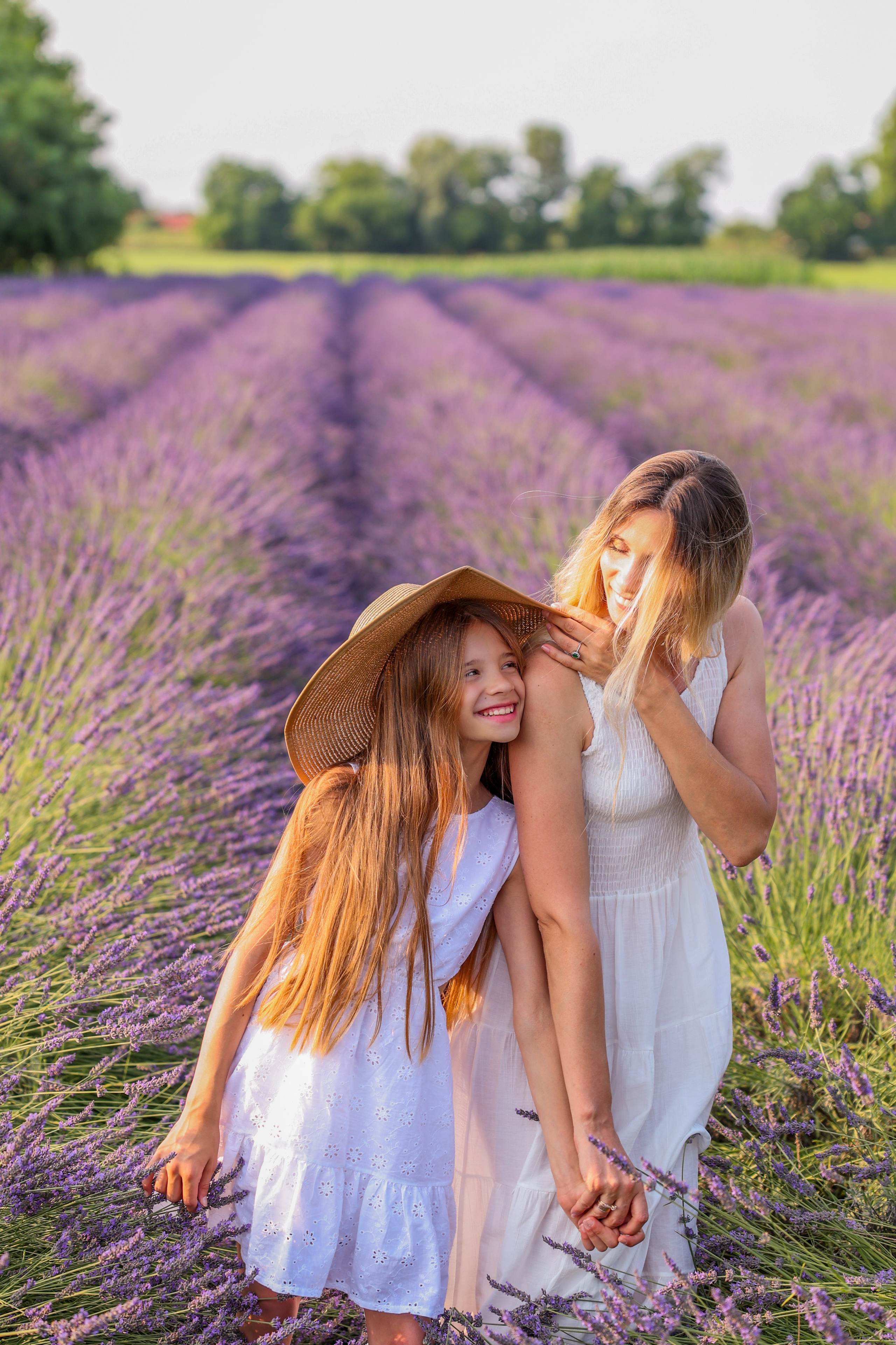 Lavanda. Photographer, Videomaker, Drone, Padova, Venice, Italy, Elena Radchenko