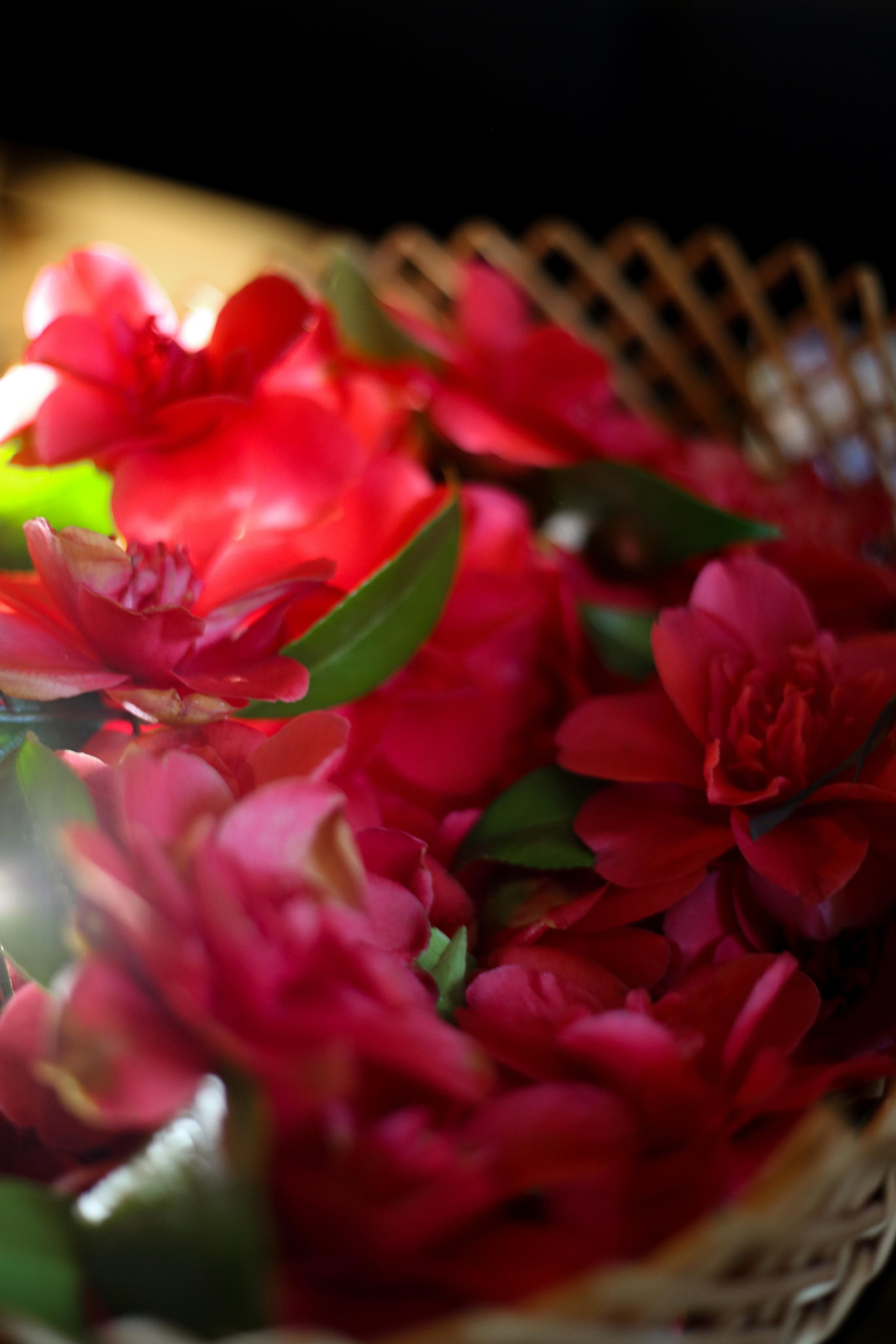 NATURE MORTE et VIVANTE. Natalia Bogdanovska. Films et photographie corporate en France