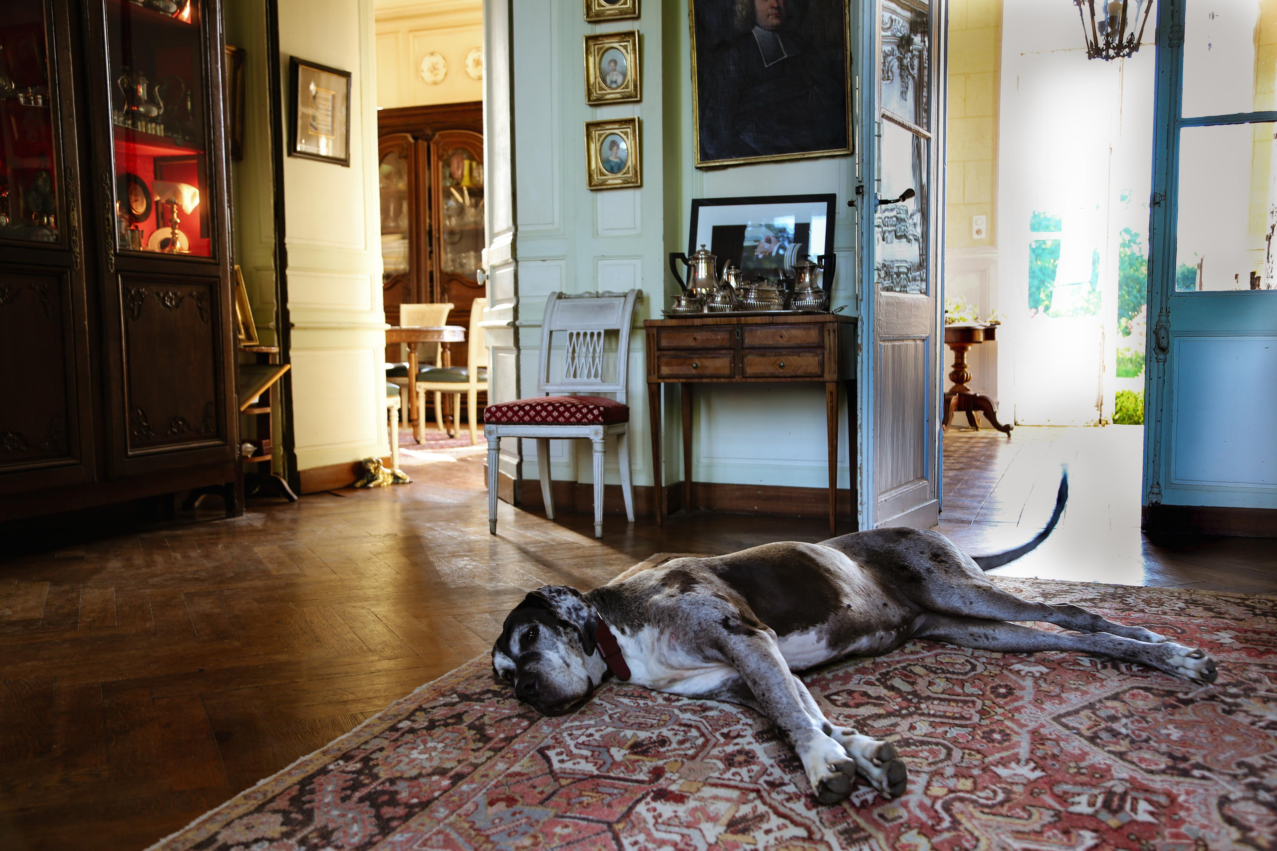 INTERIEUR. Natalia Bogdanovska. Films et photographie corporate en France