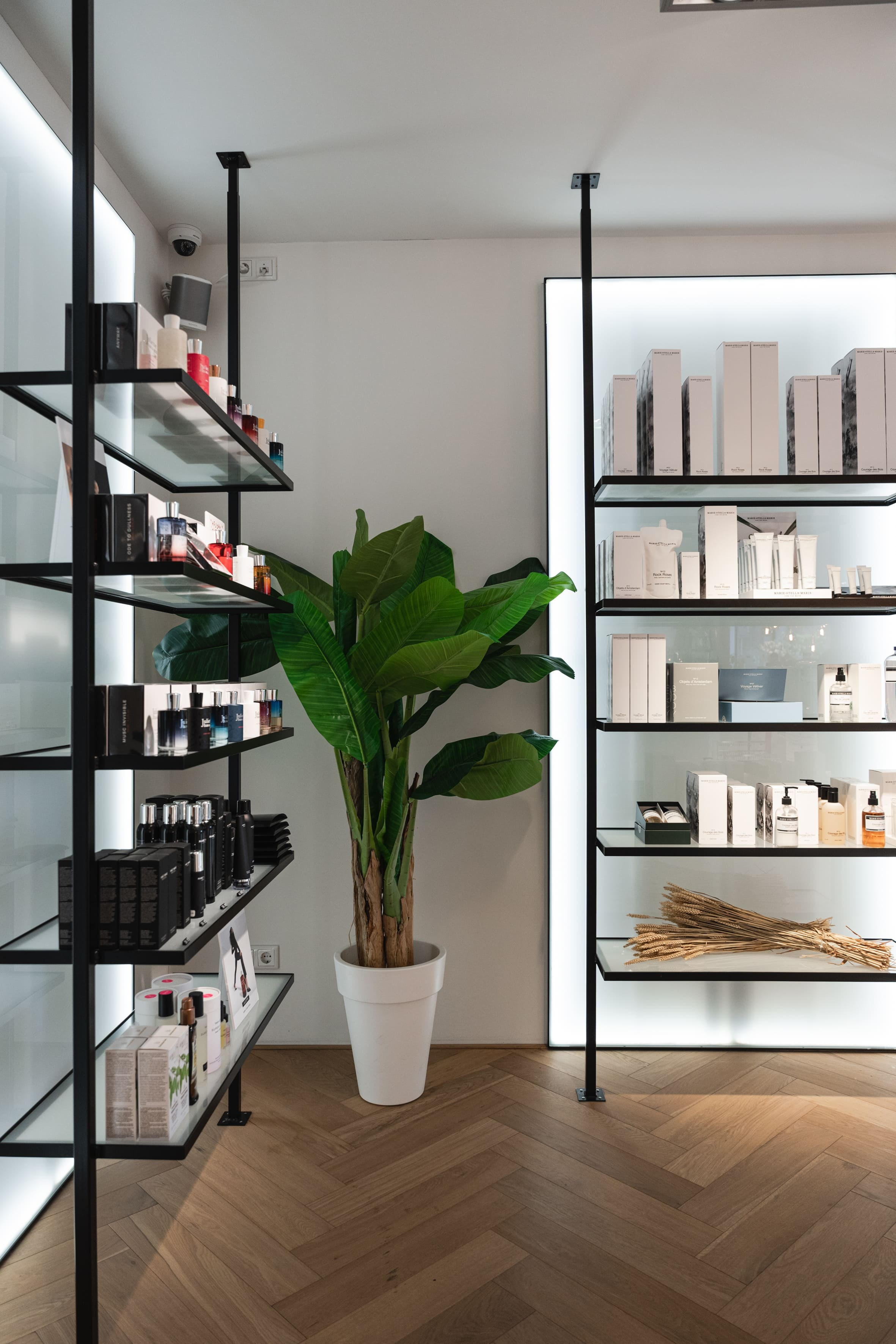 BRANDING SHOOT. Little Birdie – Jouw familie- en huwelijksfotograaf in België en daarbuiten