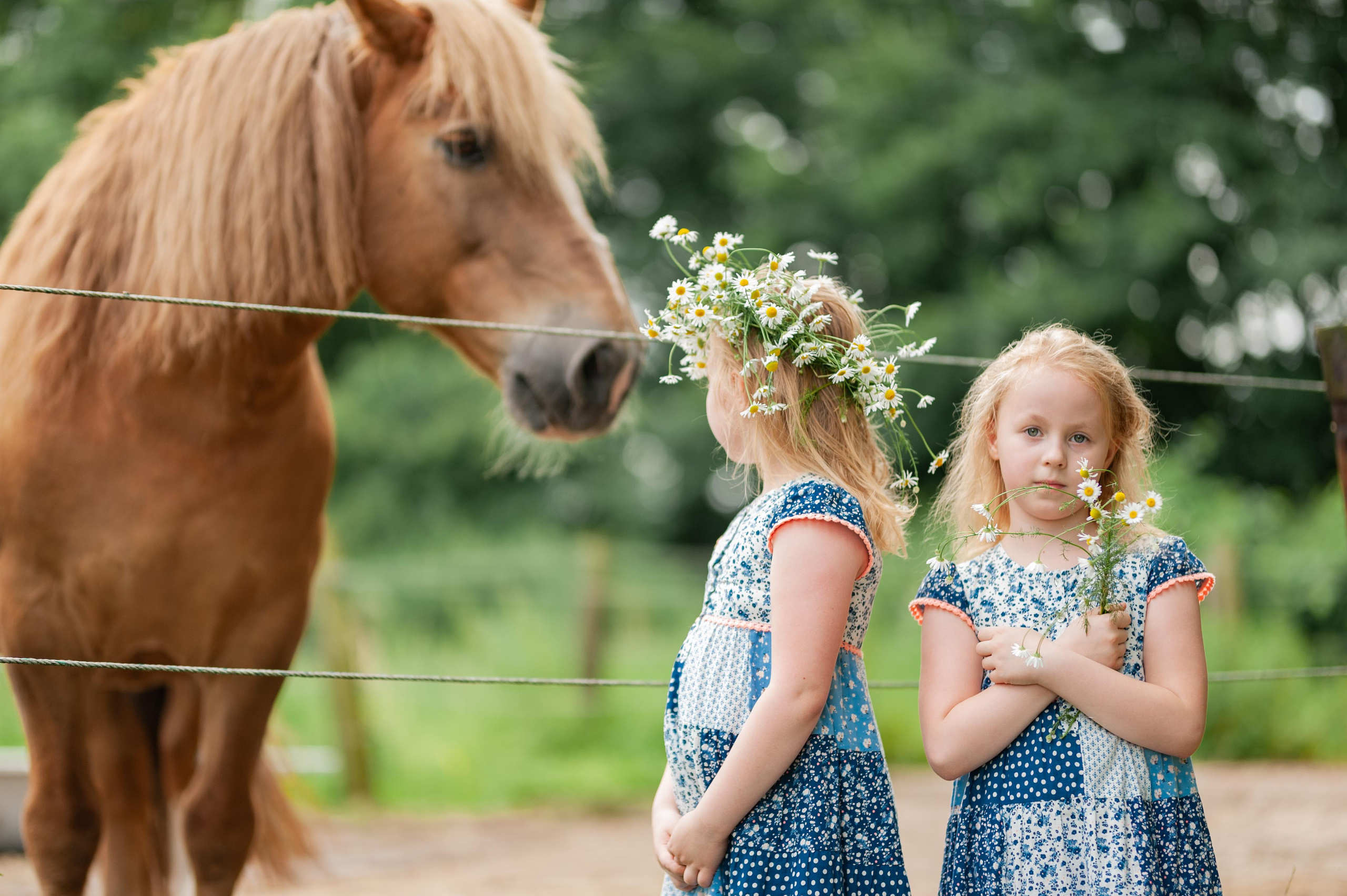 Kinder Foto, kitafotograf, kinder portrait ,Fotograf NRW, Fotograf Kamen, Pferde, 