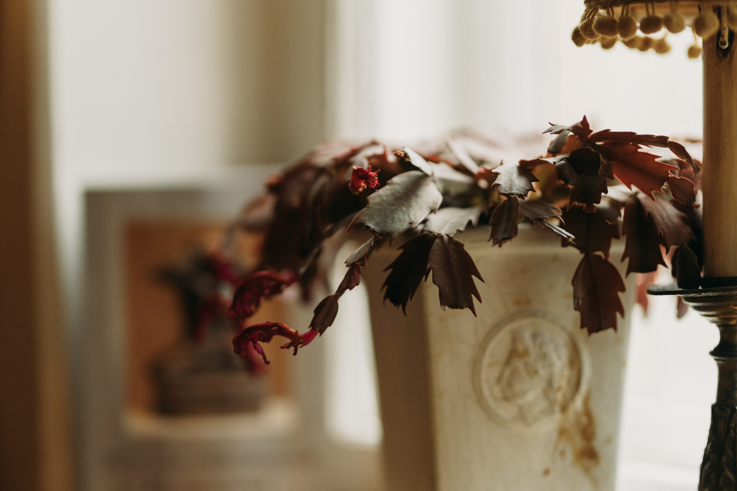 Woman phoshoot. Wedding and portrait photographer in Helsinki Vickan O