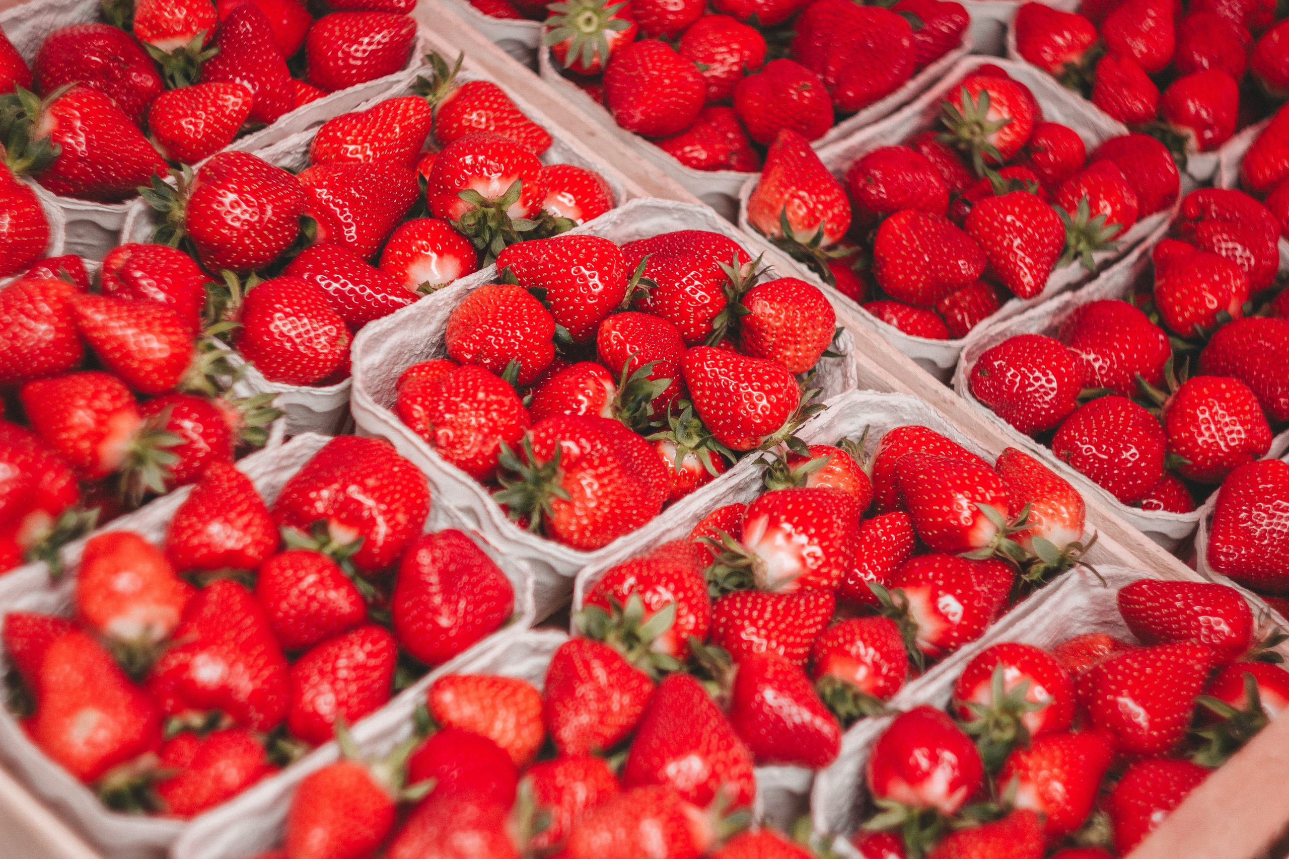 Праздник клубники в Оберкирхе. Фотограф в Германии — Мария Чистякова