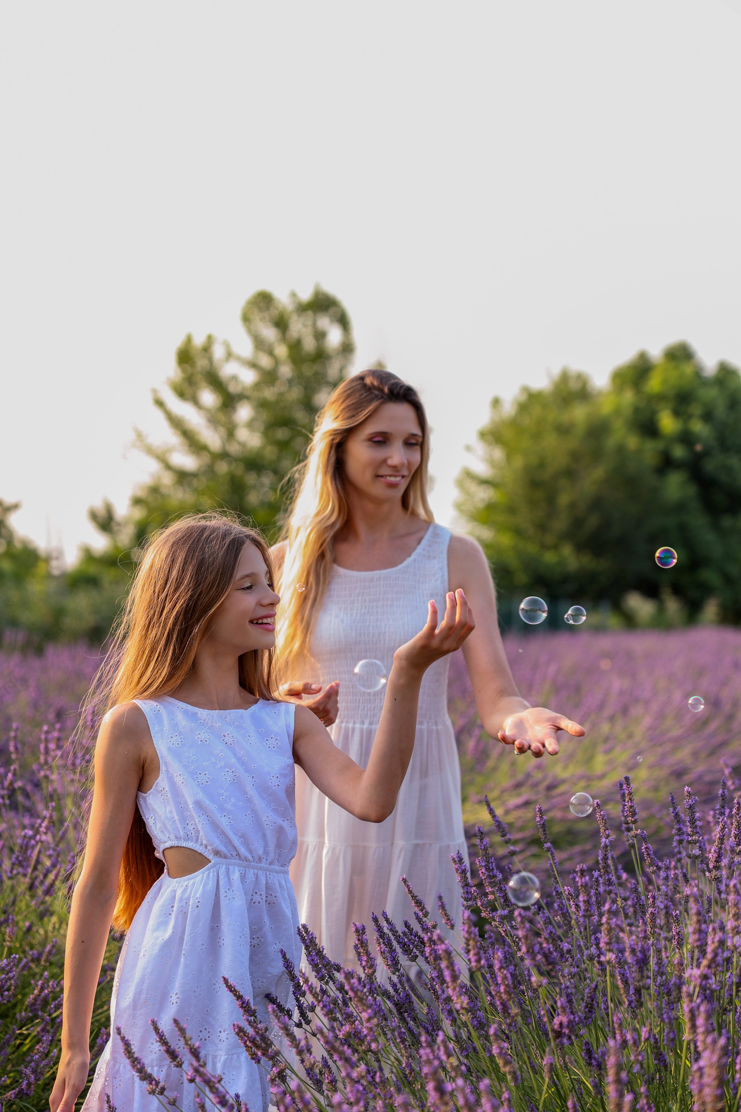 Lavanda. Photographer, Videomaker, Drone, Padova, Venice, Italy, Elena Radchenko