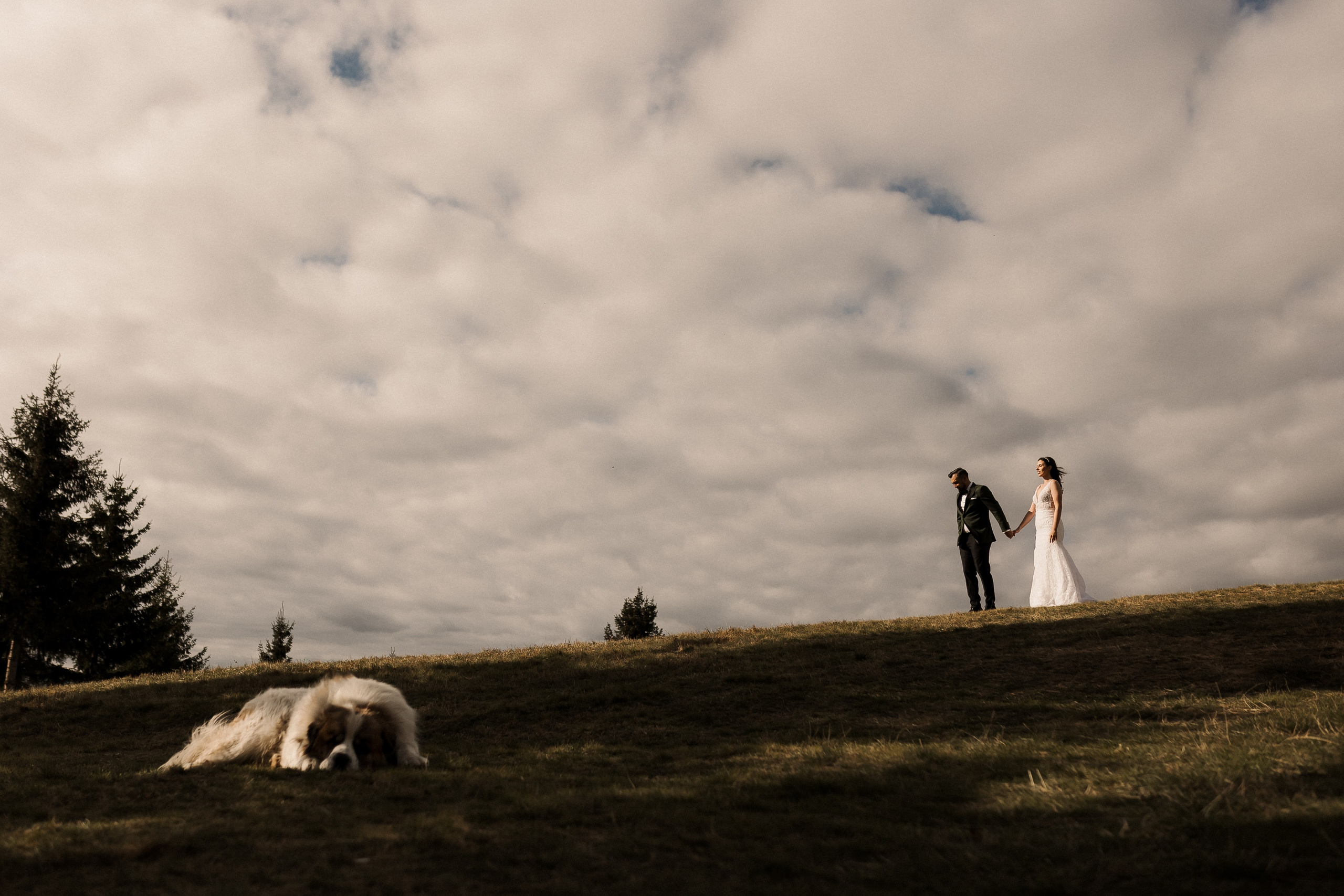 idei sedinta foto dupa nunta amfiteatrul transilvaniei