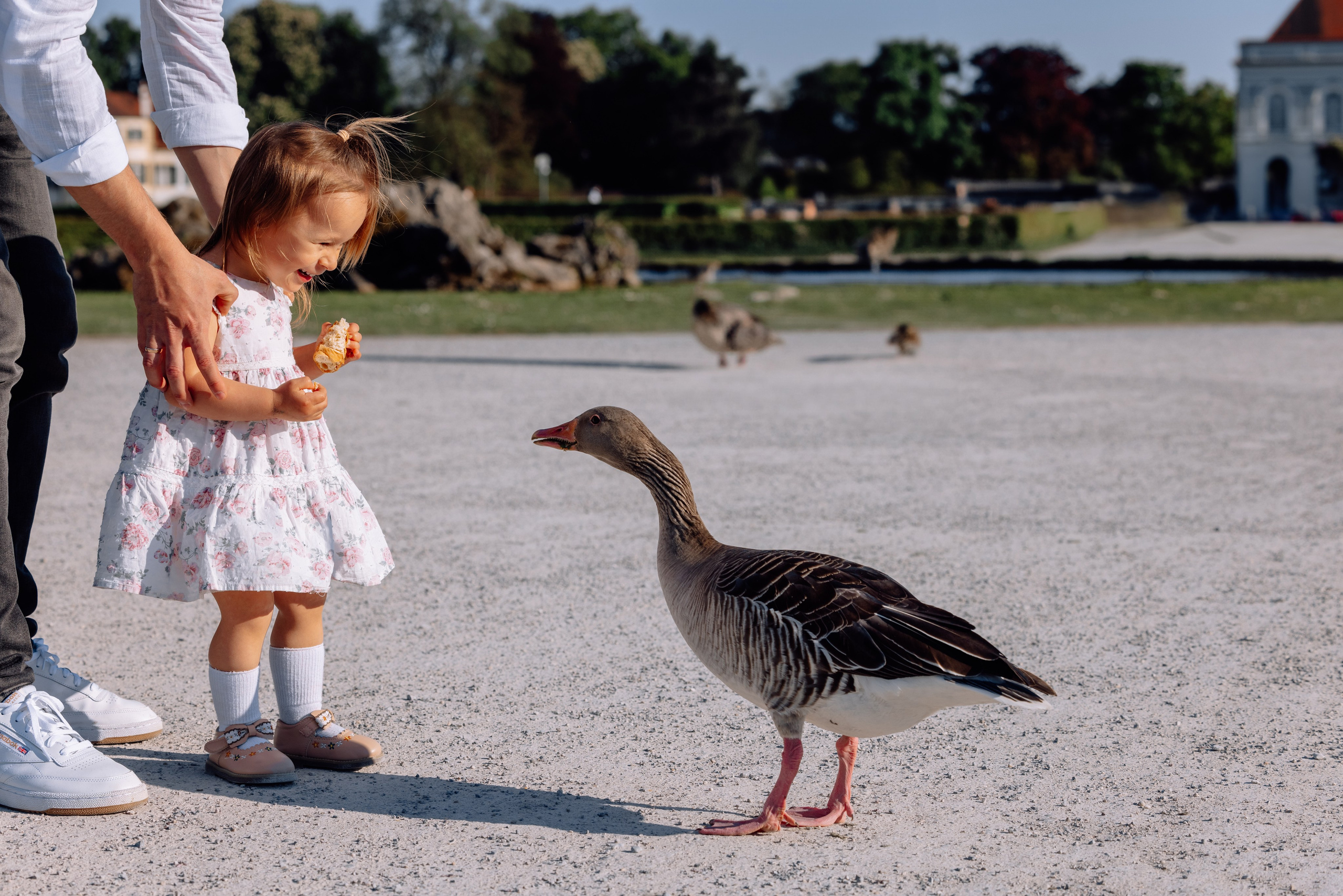 Kleine Tochter beobachtet neugierig eine Ente im Schlosspark Nymphenburg