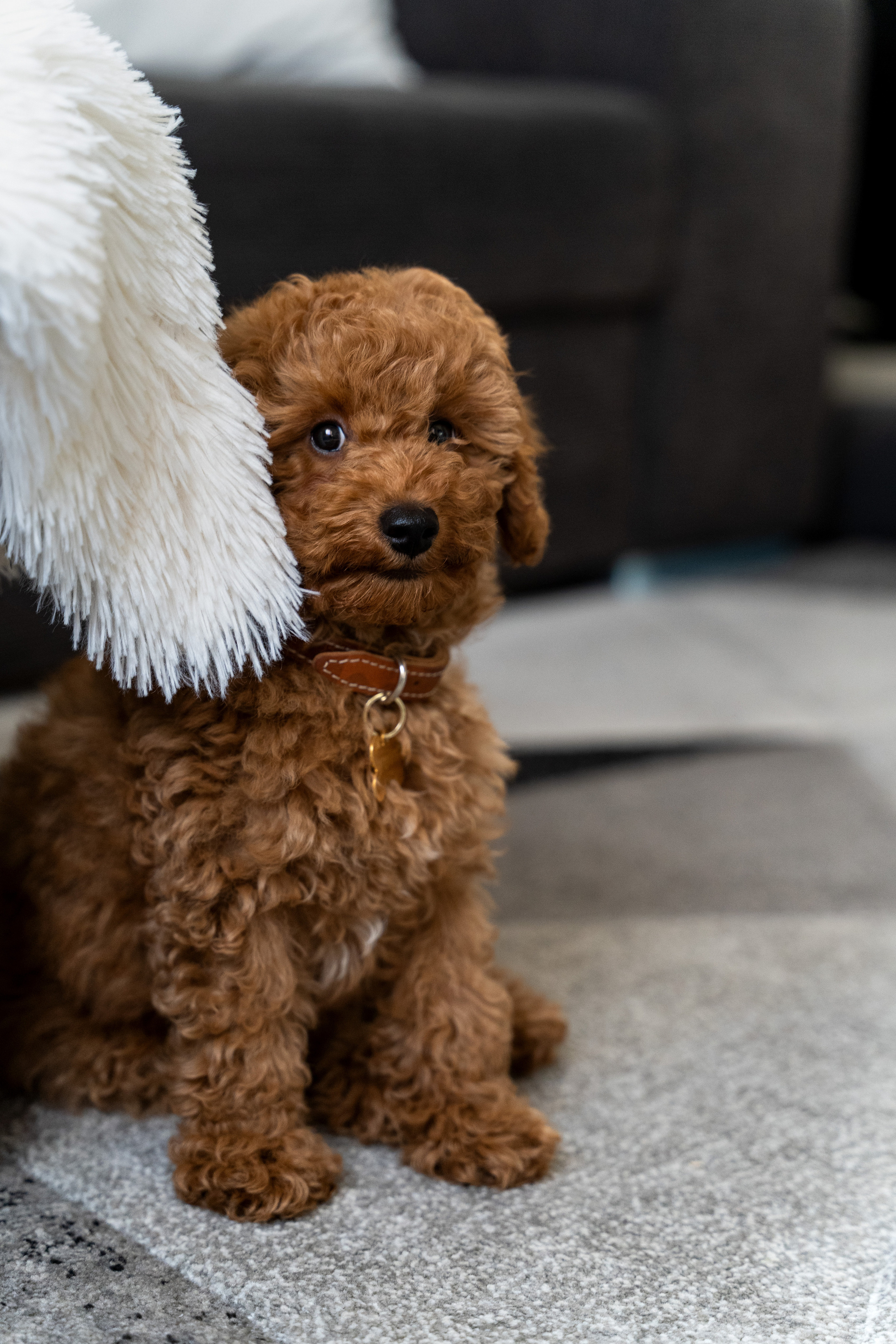 Noizy e Ana. Wedding photographer Natalia