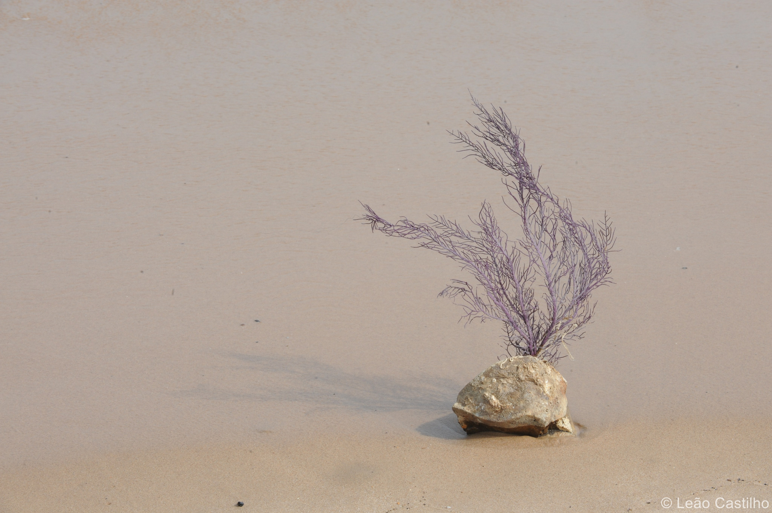 Photos from Angola people. Simbahalu