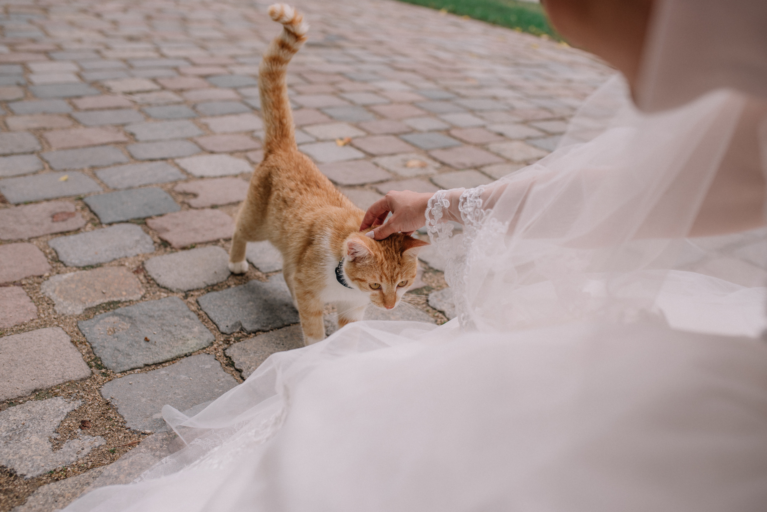 Anastasia & Johahn. Khanoffilm