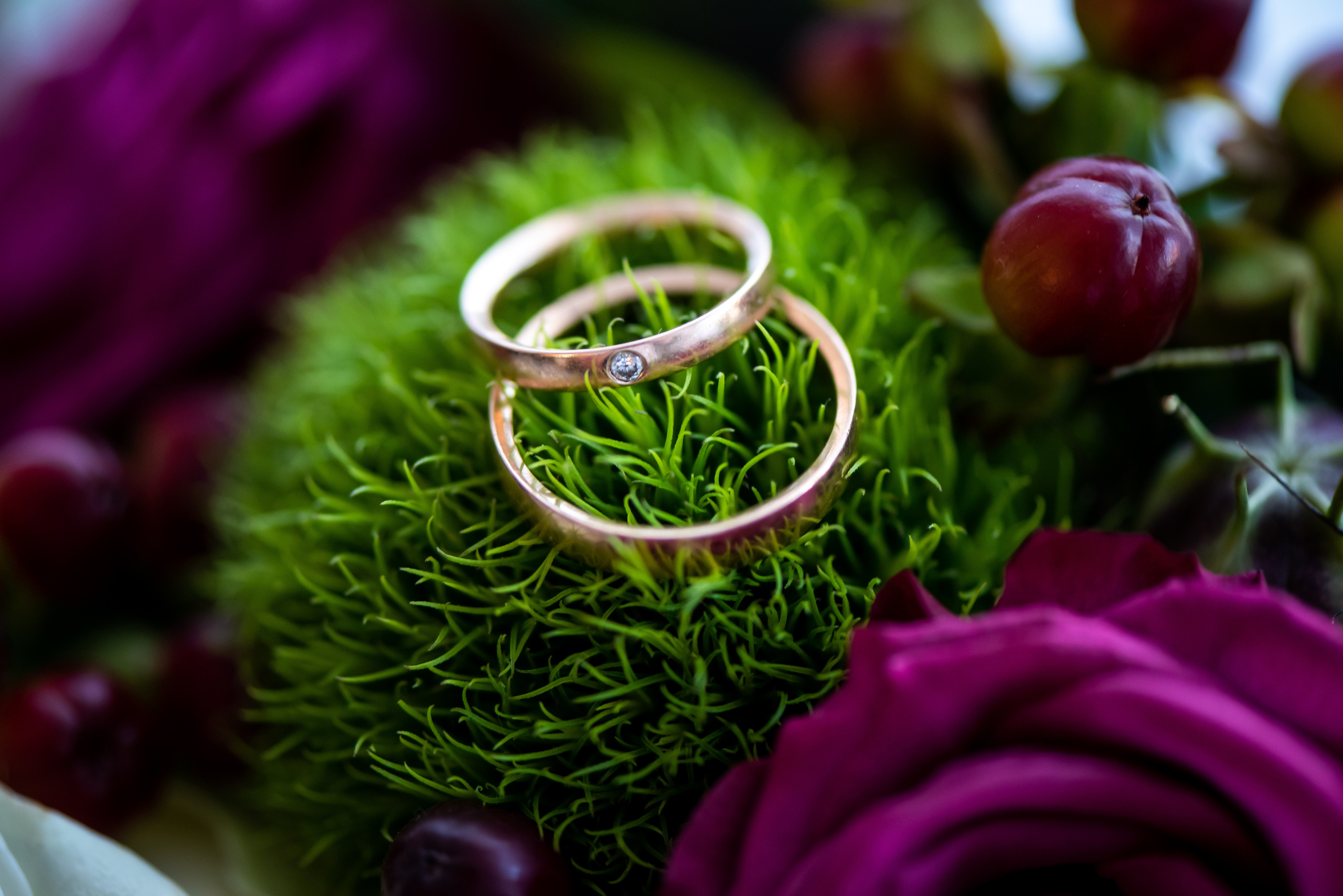 Regina & Rudi. Khanoffilm