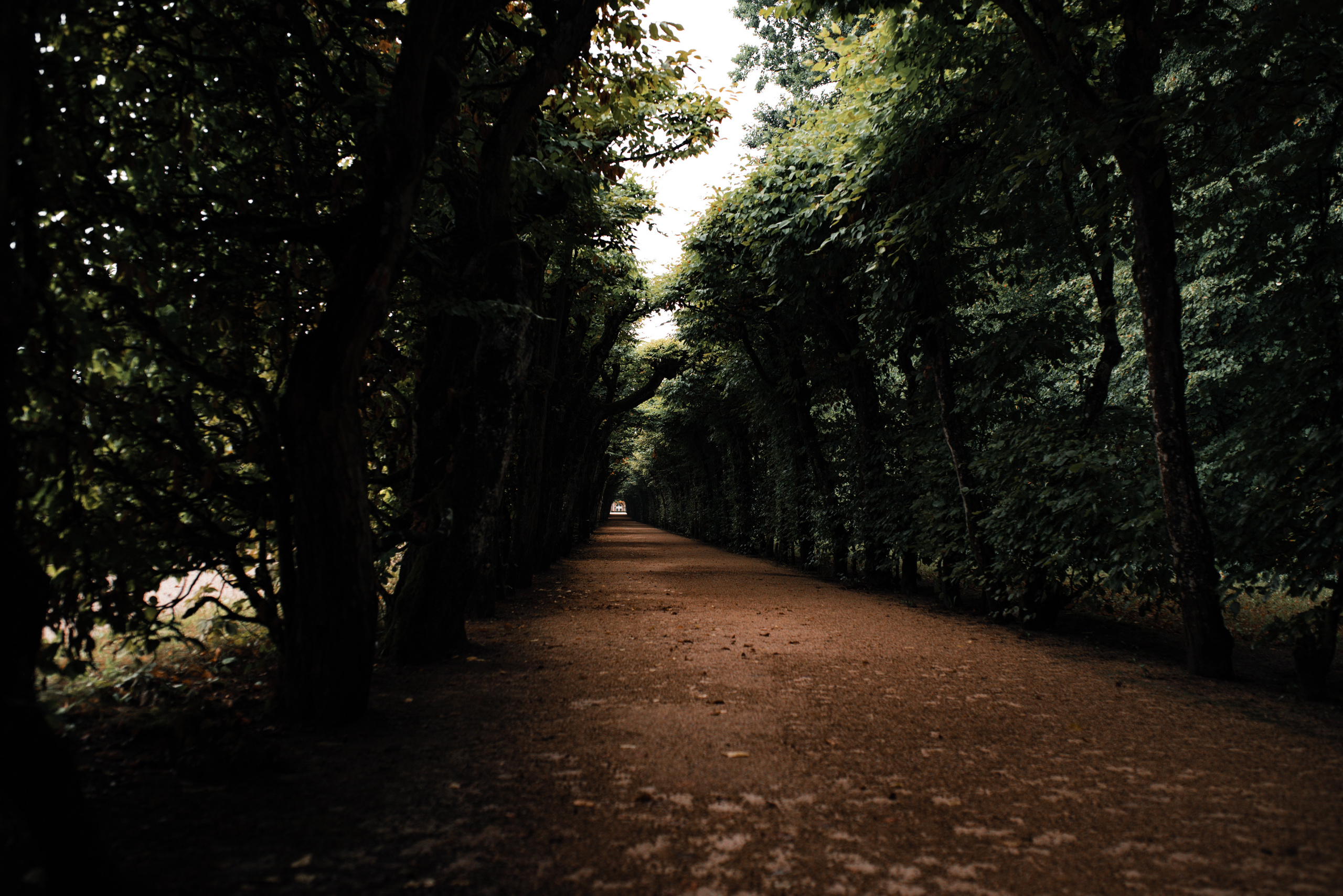 Anastasia & Johahn. Khanoffilm