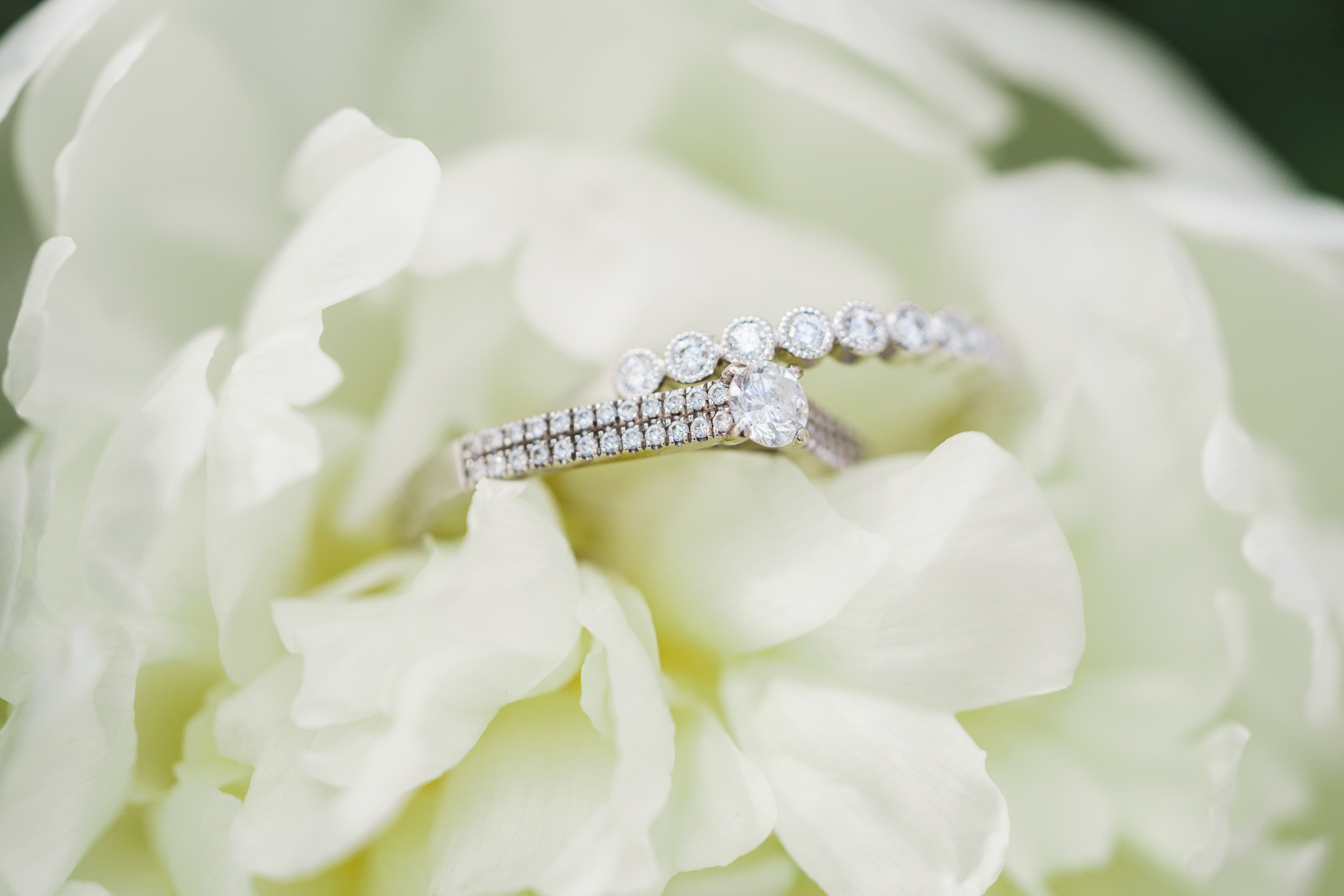 Elena&Lauri, Hääkuvaaja espoo, Lepolampi