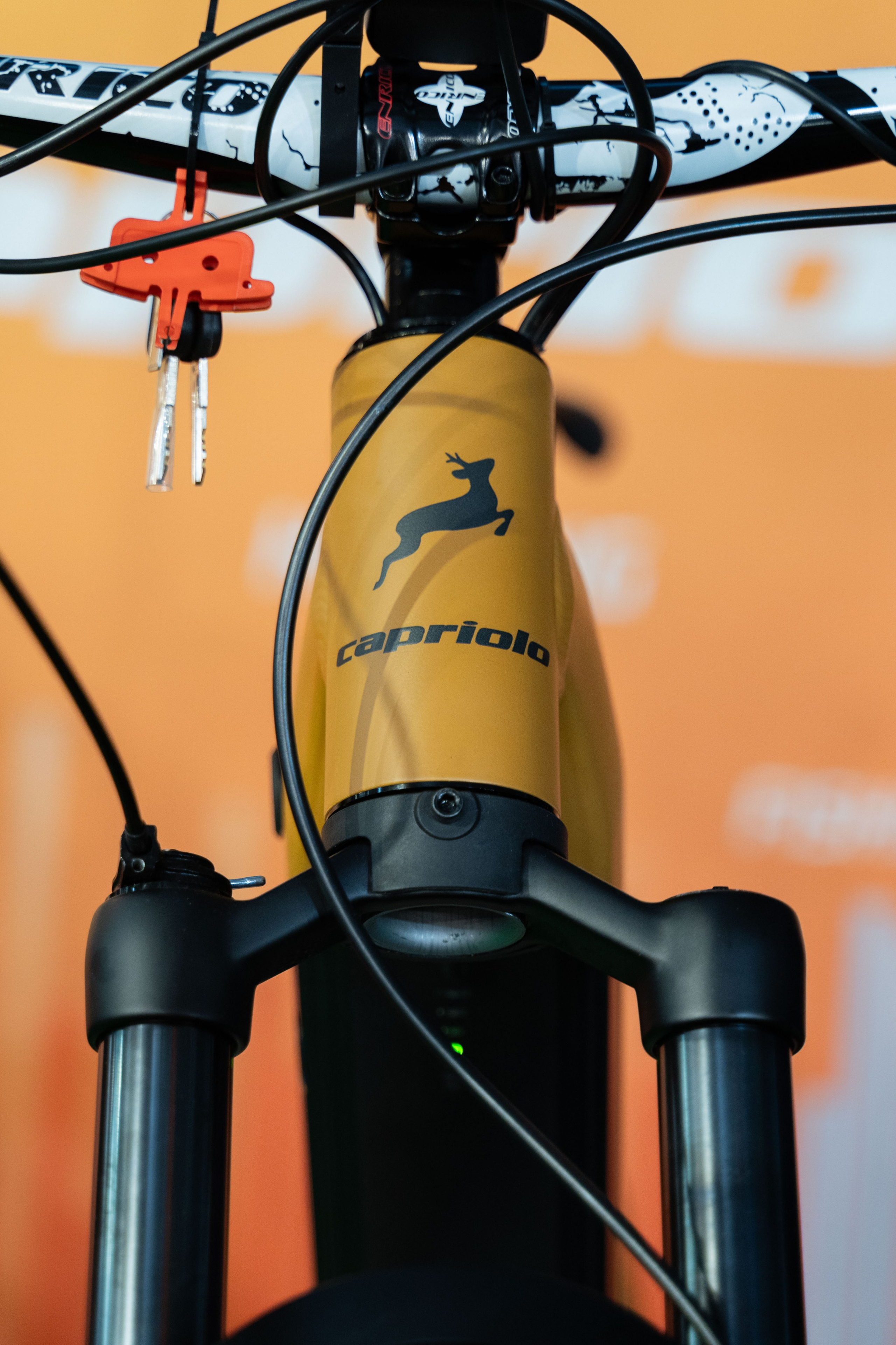 Electric Vehicles Days in Novi Sad 2024. Zhukov studio