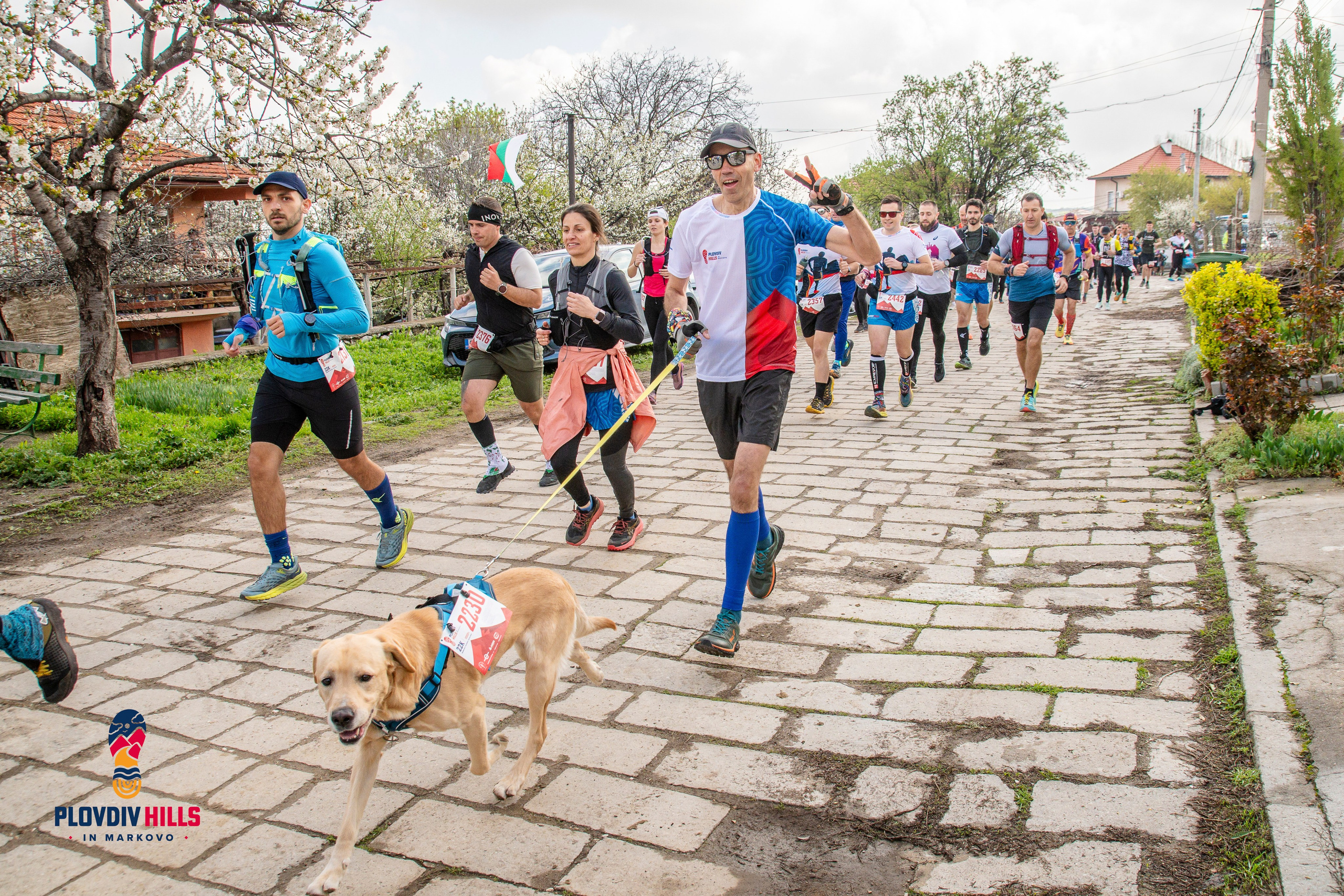 Снимки 2025-KrisoK Photography. «Plovdiv Hills in MARKOVO» е състезание по планинско бягане