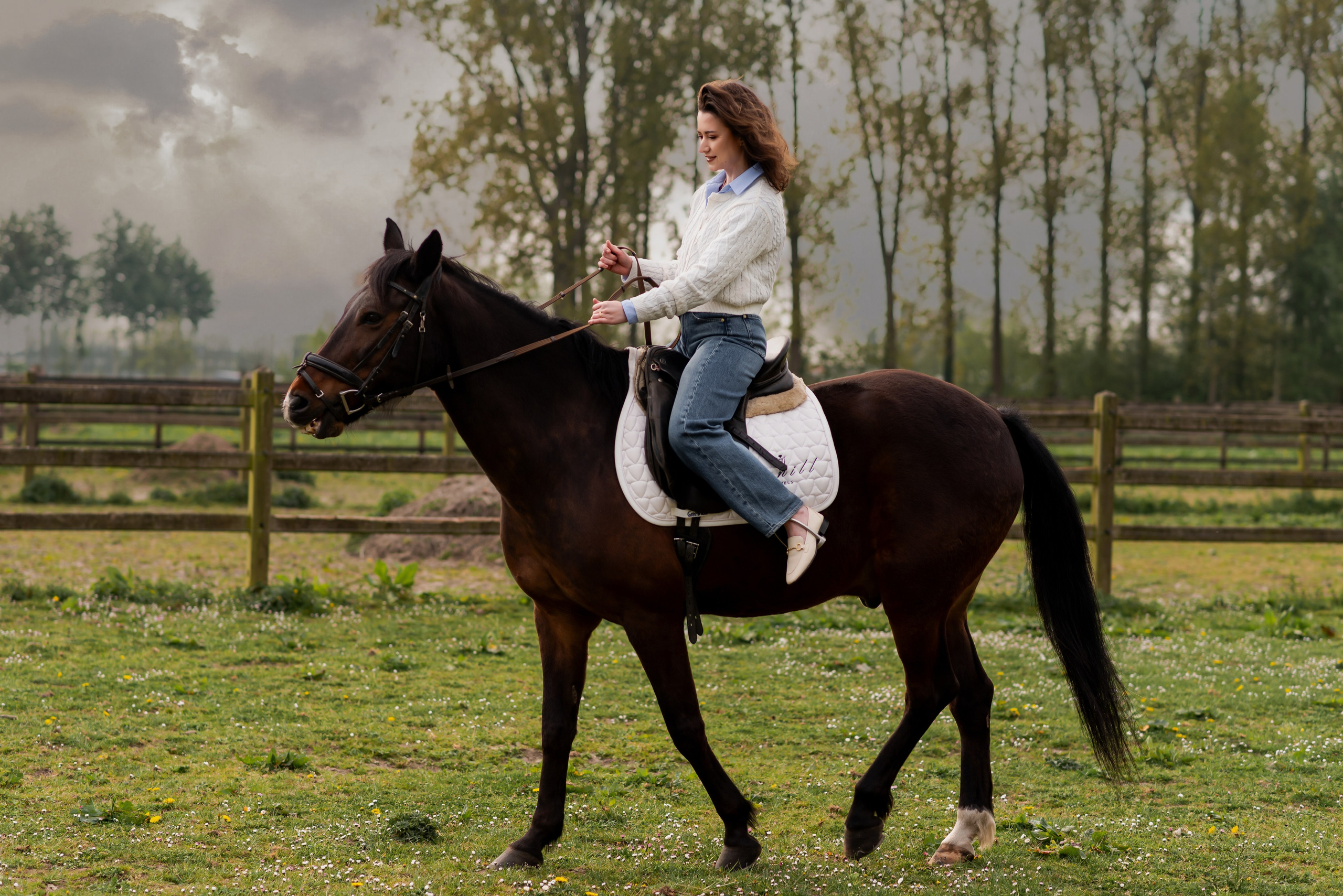Photoshoot with Horses. Professional Photograher, Antwerpen/Belgium