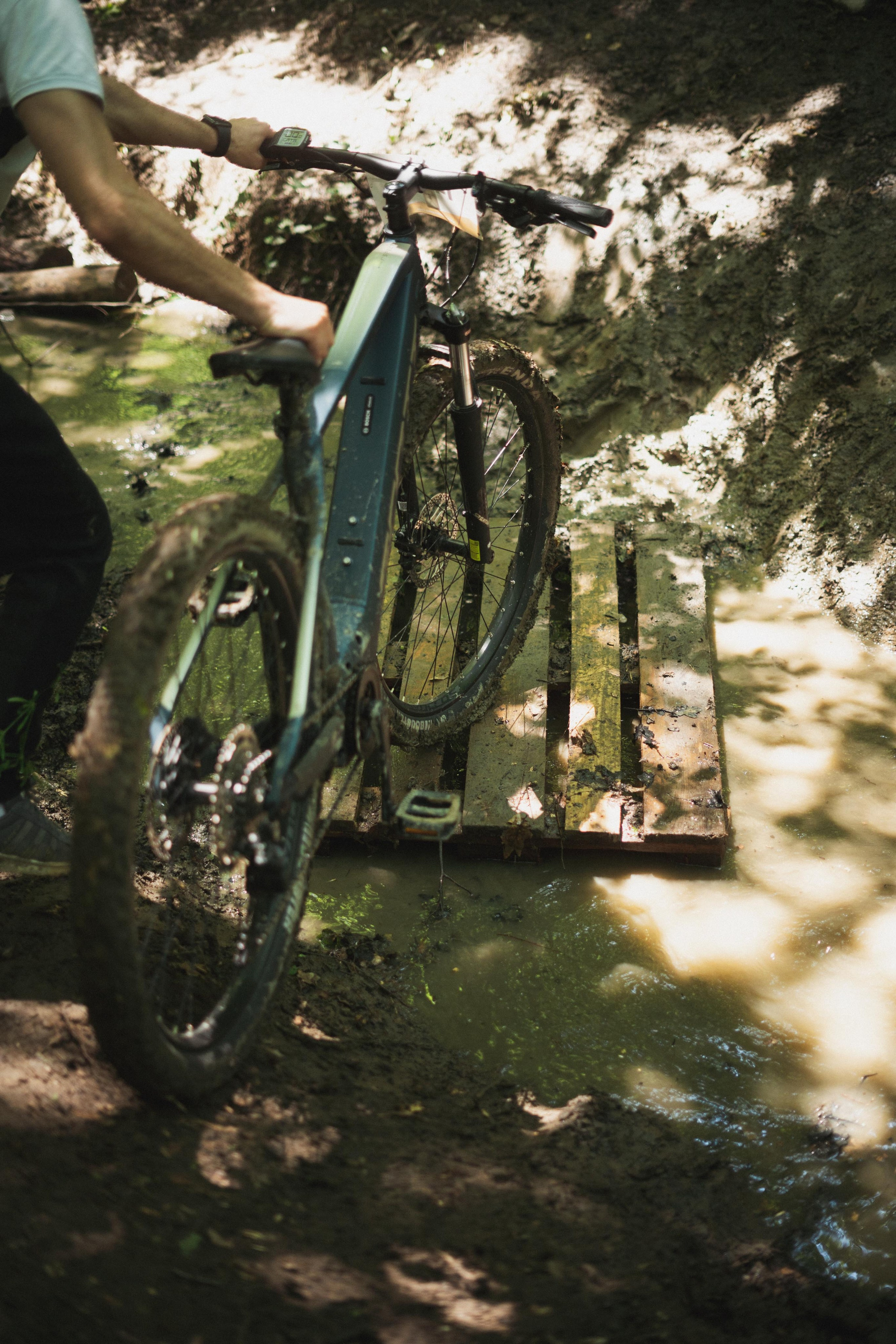 Tour de Fruska. Zhukov studio