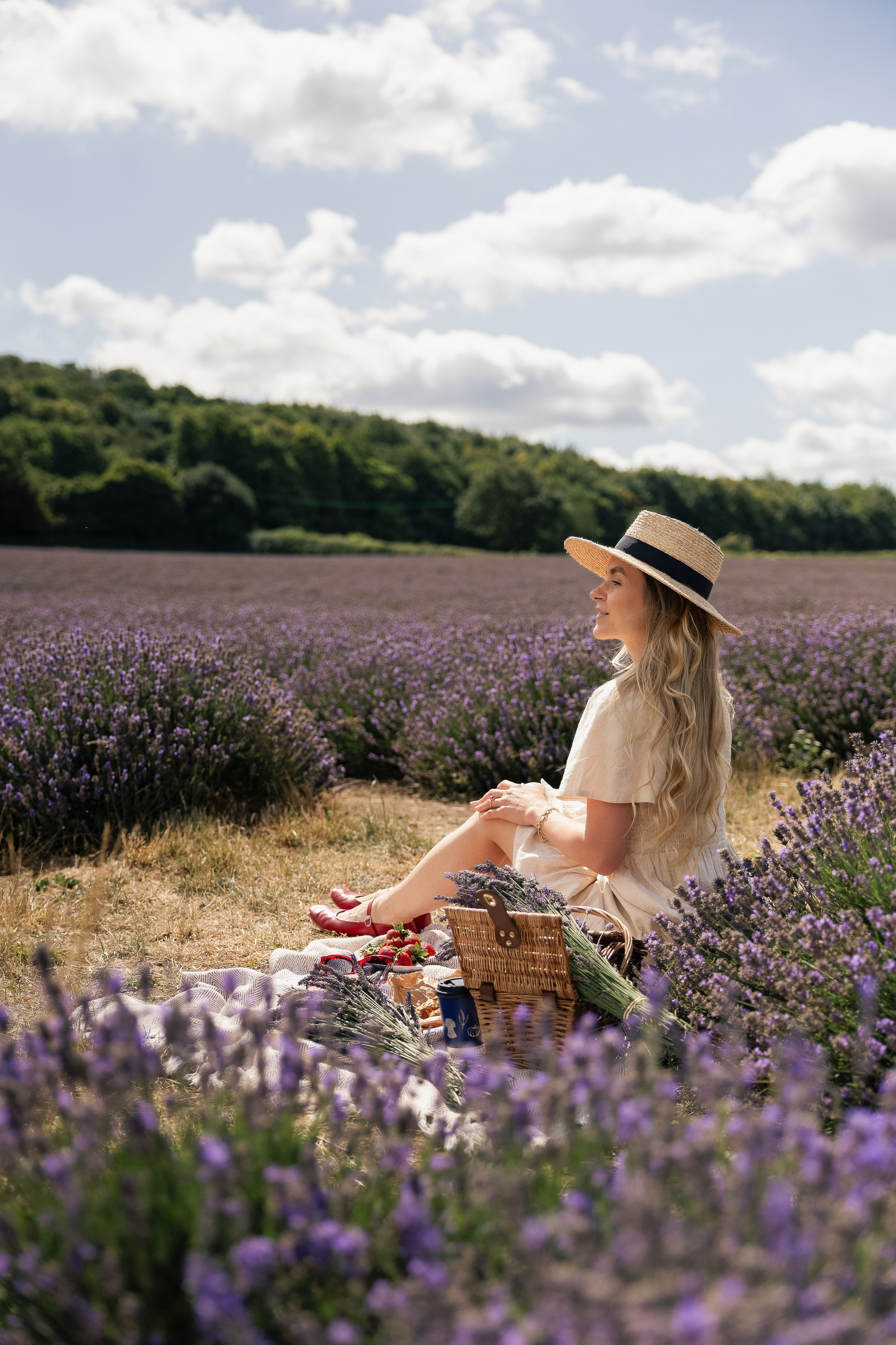 Lavender Picnics. PHOTOGRAPHER IN LONDON