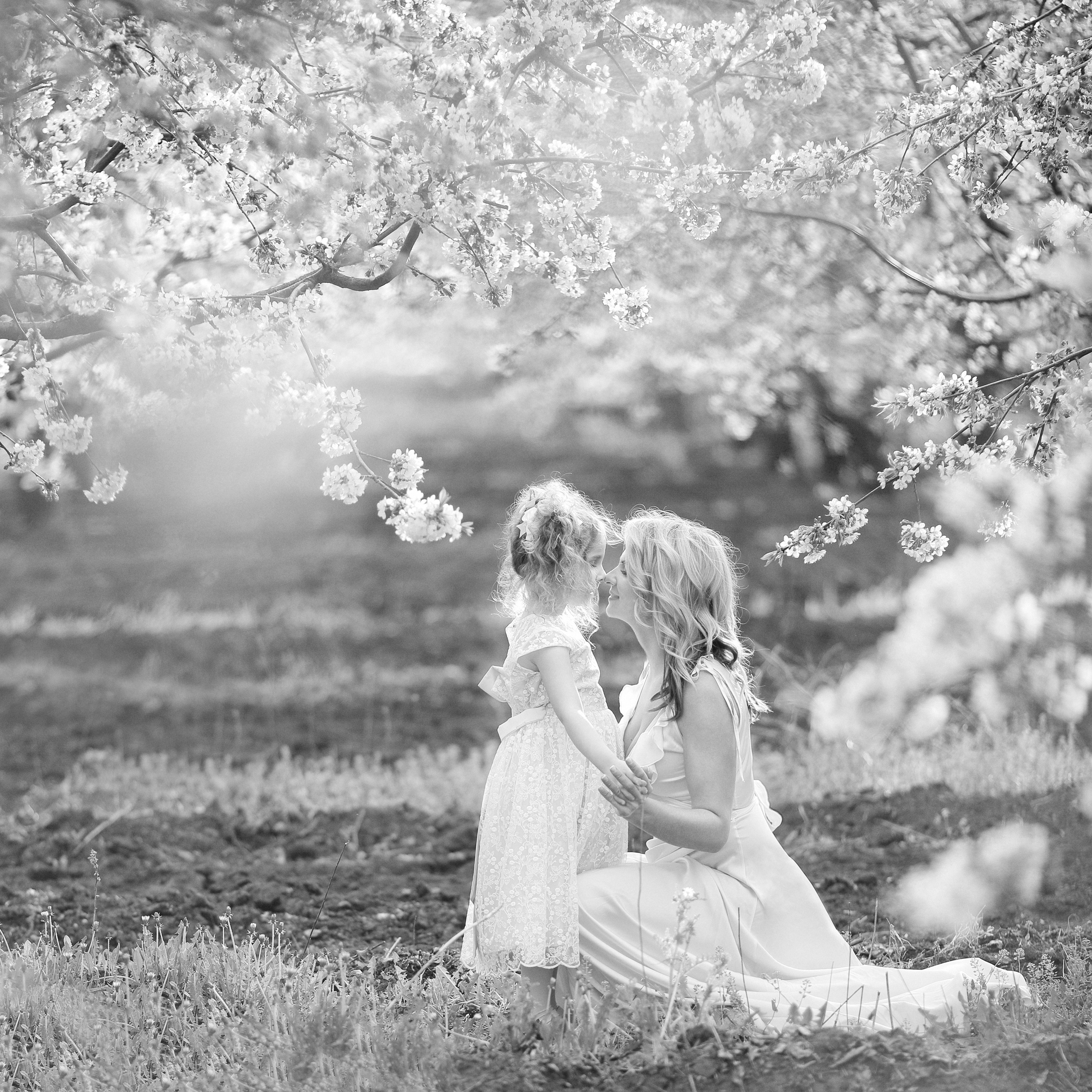 Family. Luxury wedding, portrait, family photographer over Europe