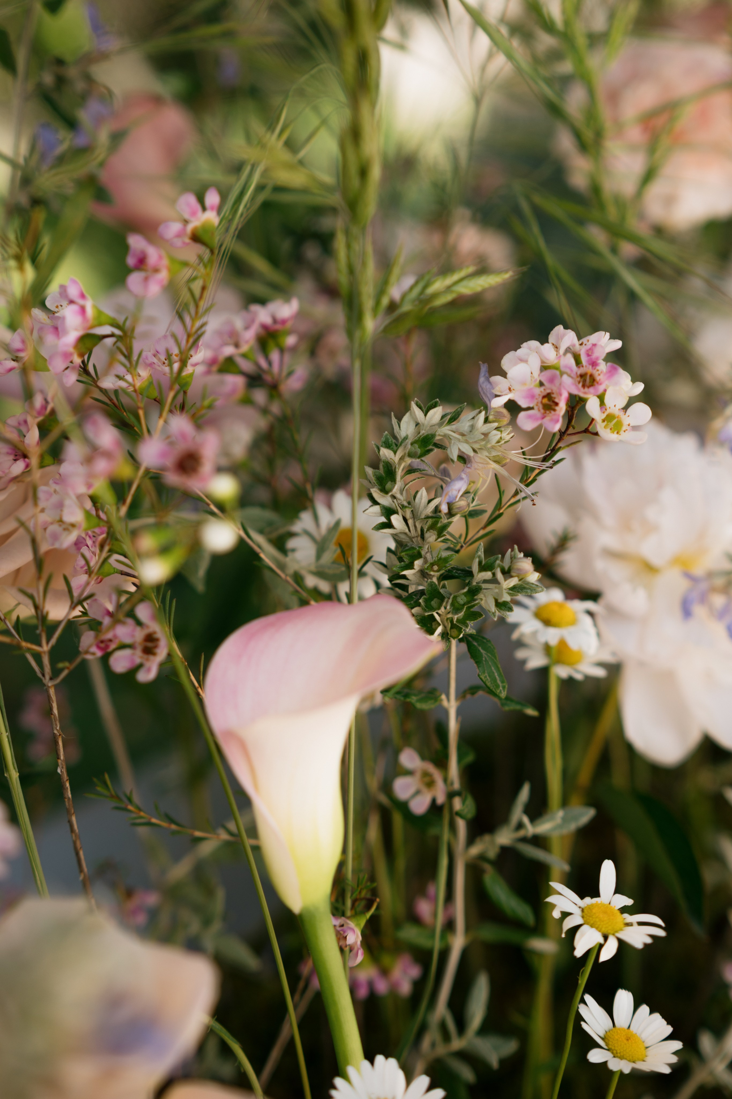 Comunione Valentina. Photographer Iuliia Gladkikh, Italy, Abruzzo