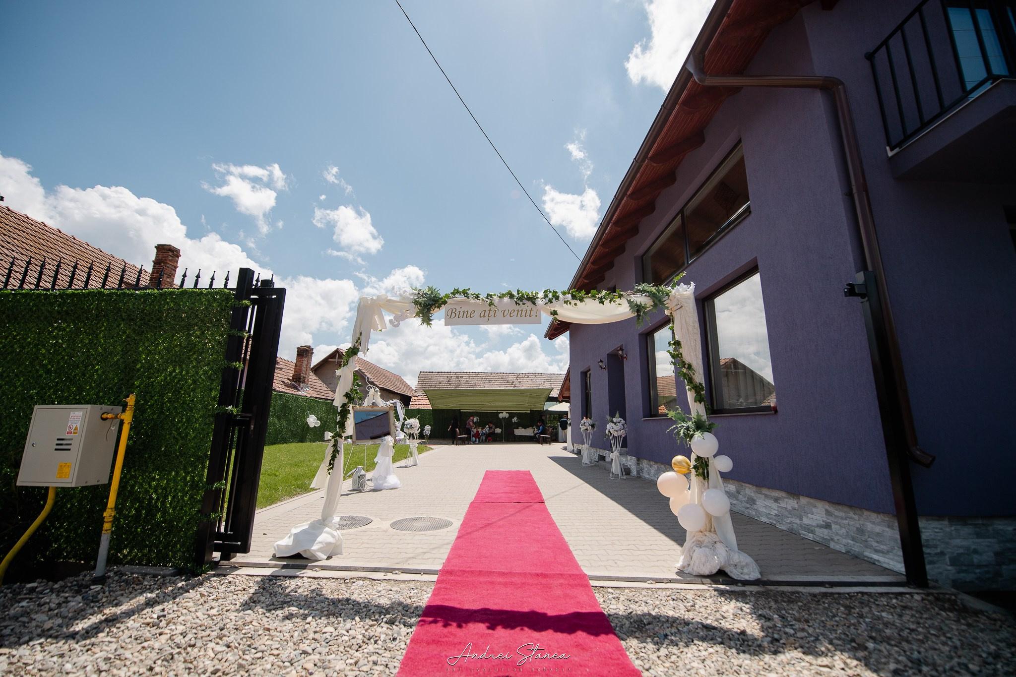 Denisa & Iulian. Andrei Stanea