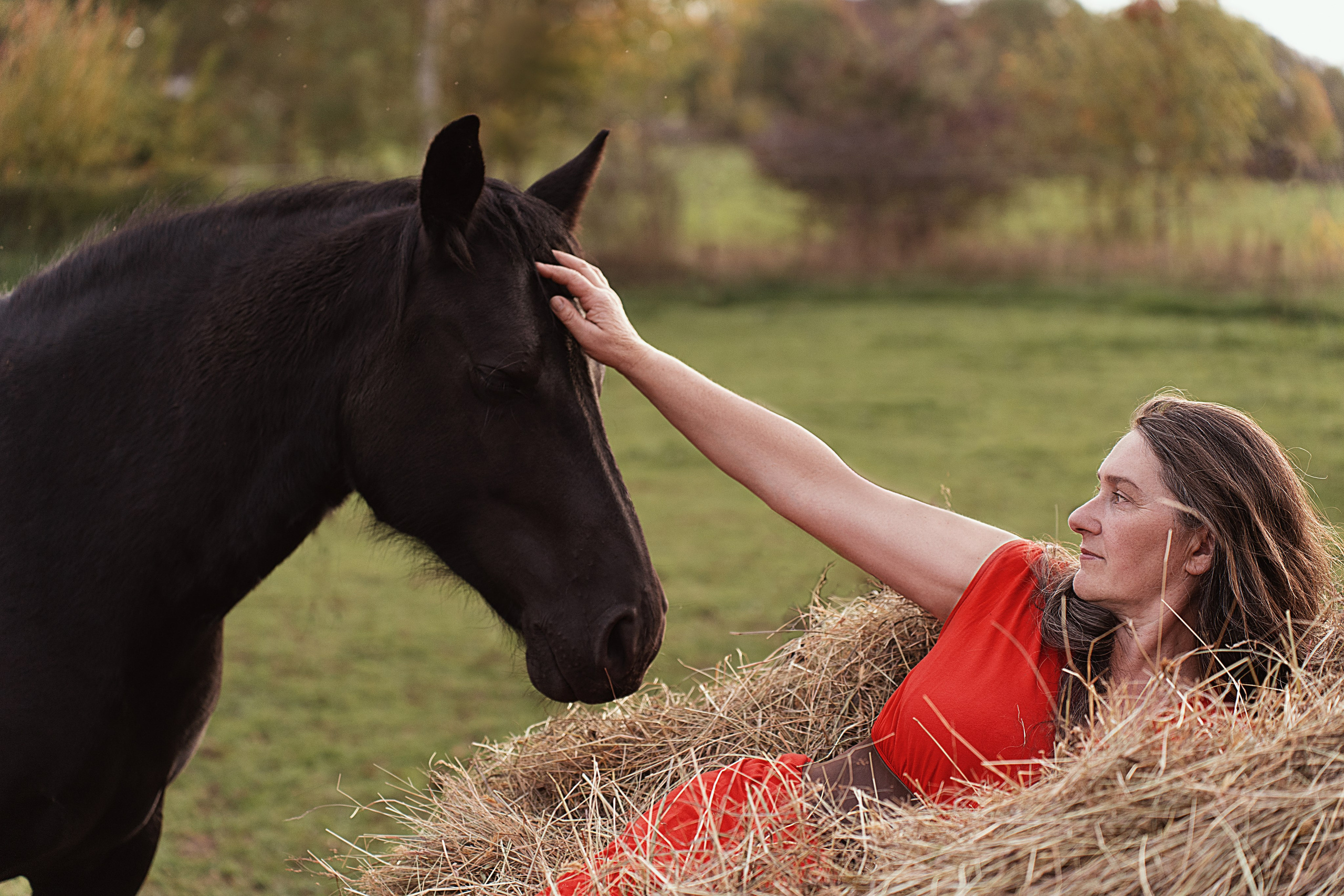 Geschichten mit dem Pferden. Kinder und Familienfotografie Wittlich und Trier Umgebung