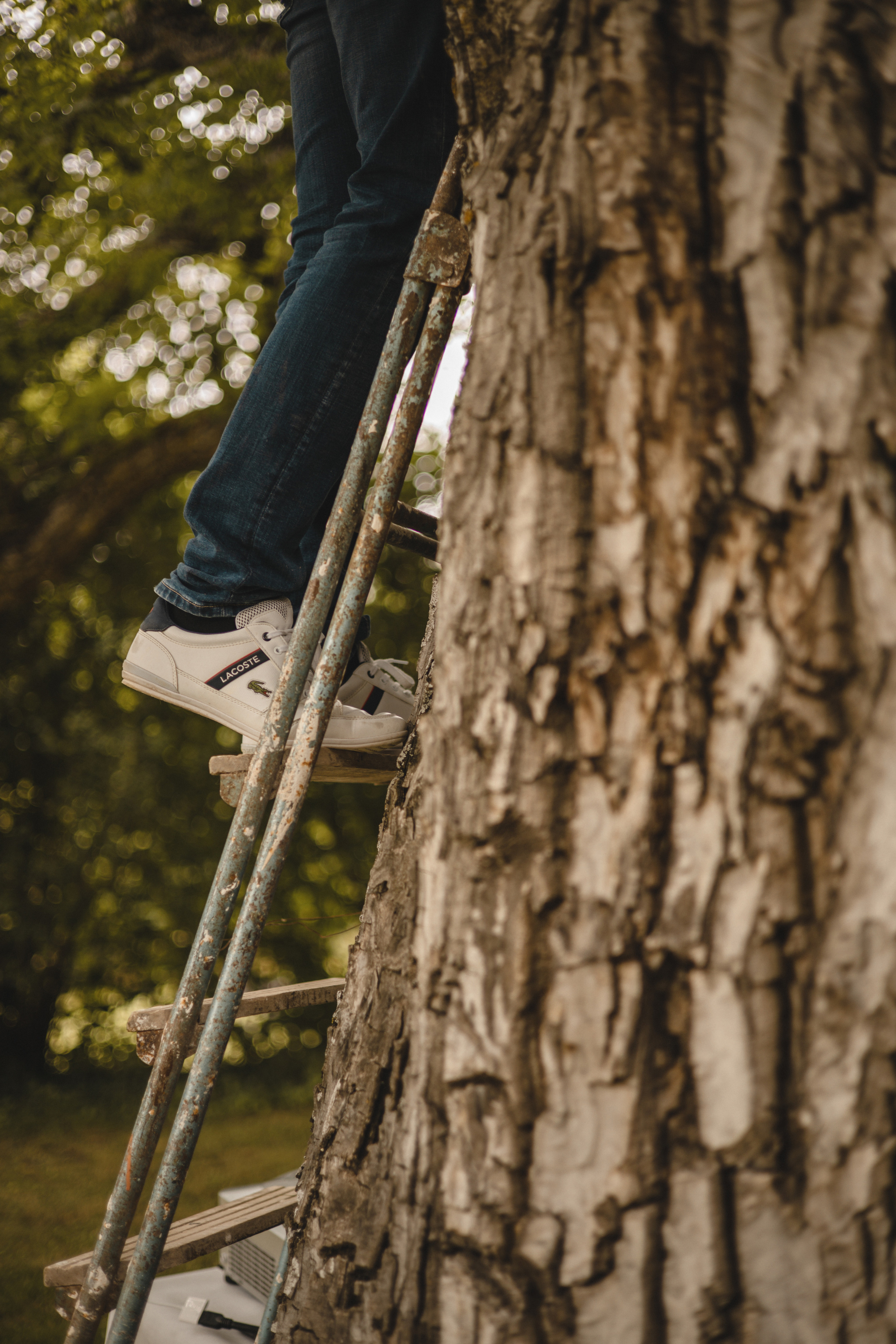 Burgos. Photographer Videographer Spain Barcelona Tarragona