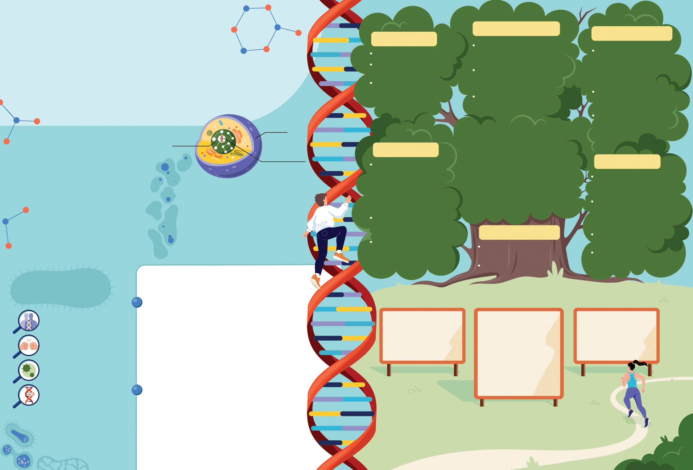 Vector Illustrations. Helen Reveur | Illustrator & Brand Designer | Ready-Made & Custom Illustrations