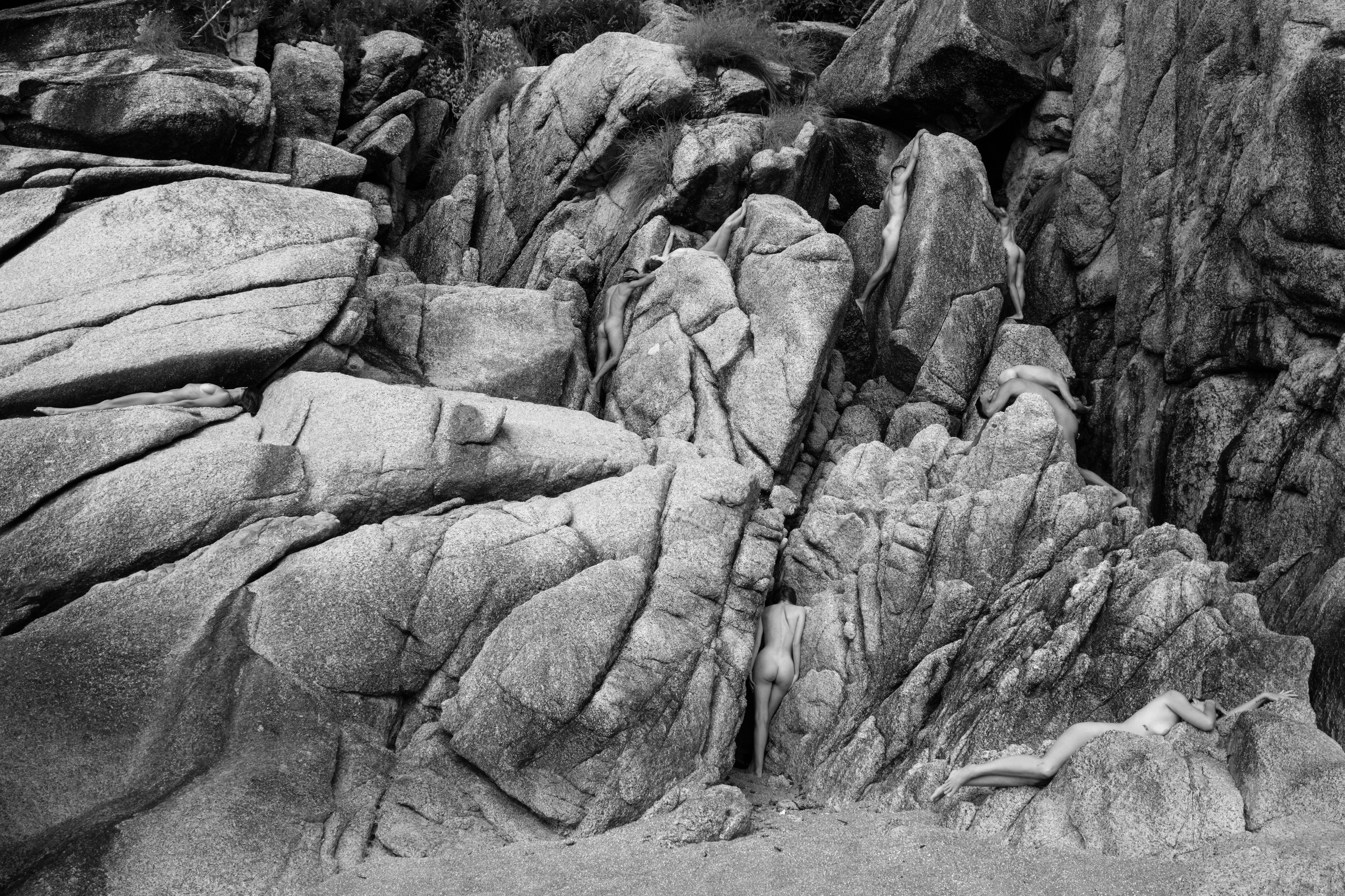 WILD. Anton Usanov | Creative producer | Photographer | Art-director