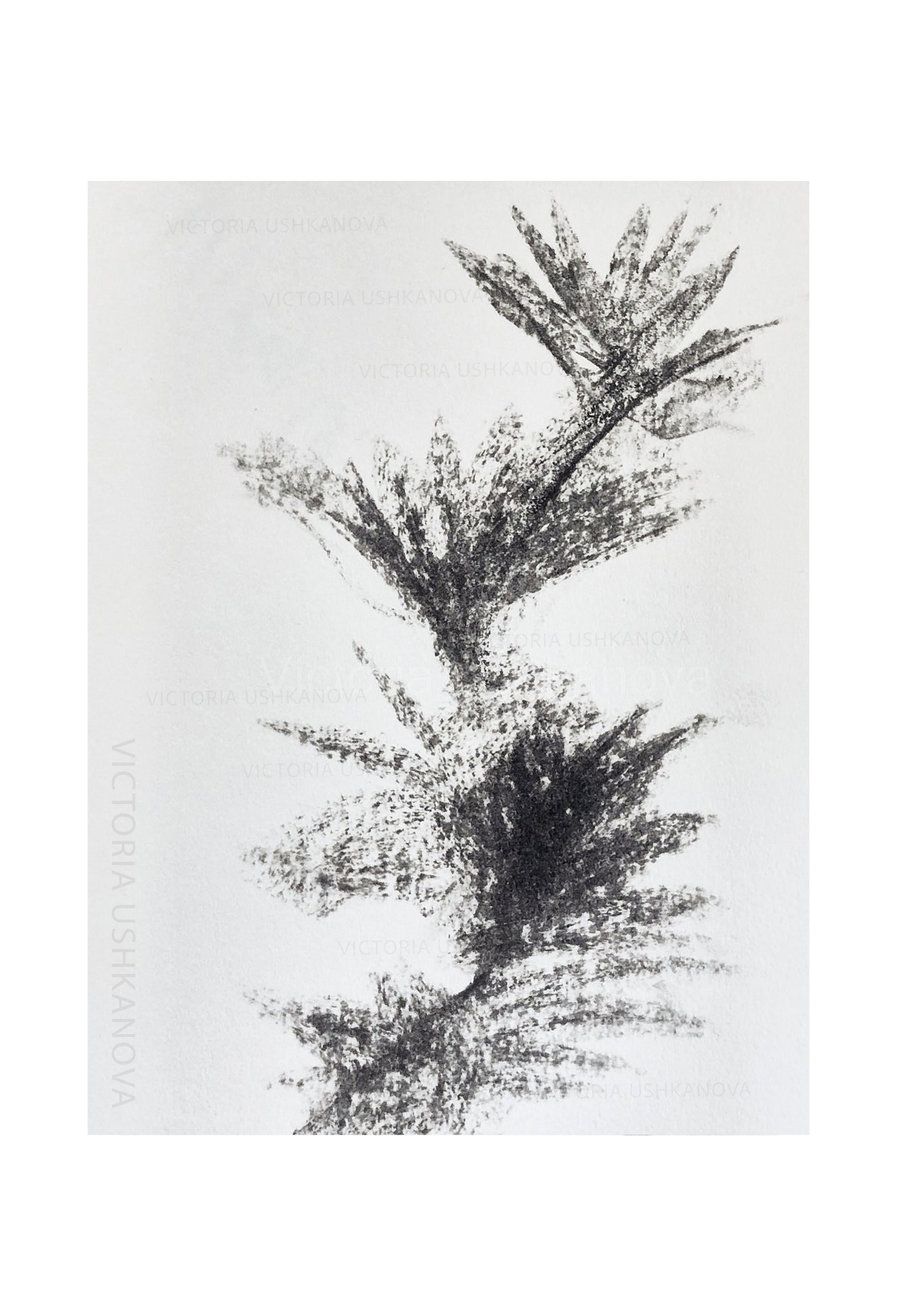 Drawings. Fotograaf Amsterdam - Victoria Ushkanova